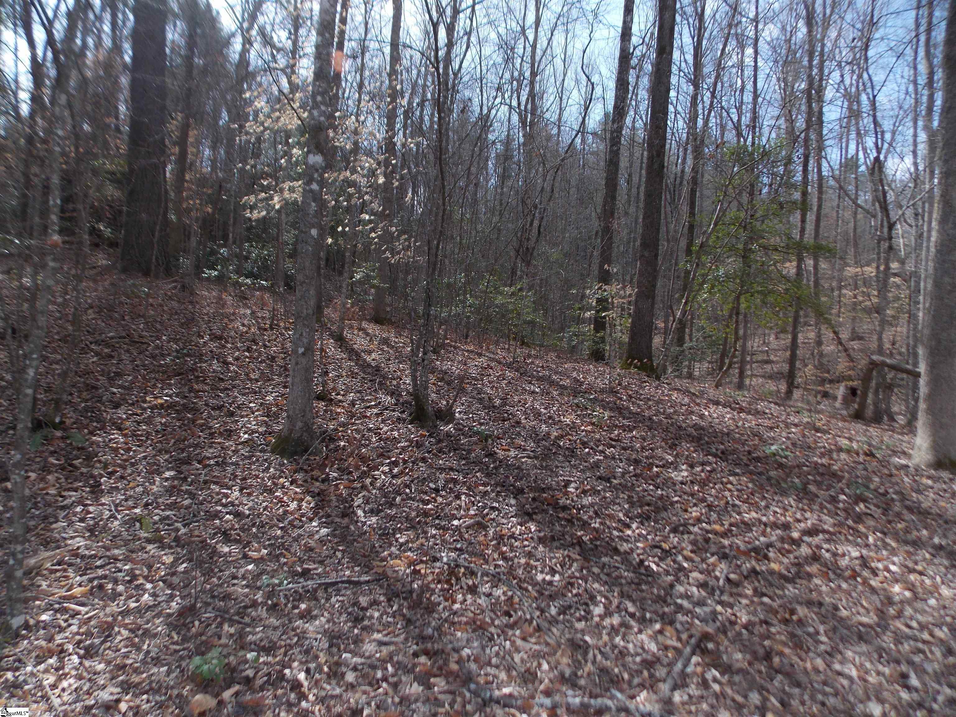 0 Holloway Road Marietta, SC 29661 - Photo 20 of 50