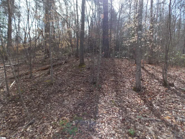 $89,500 | 0 Holloway Road, Marietta, SC 29661