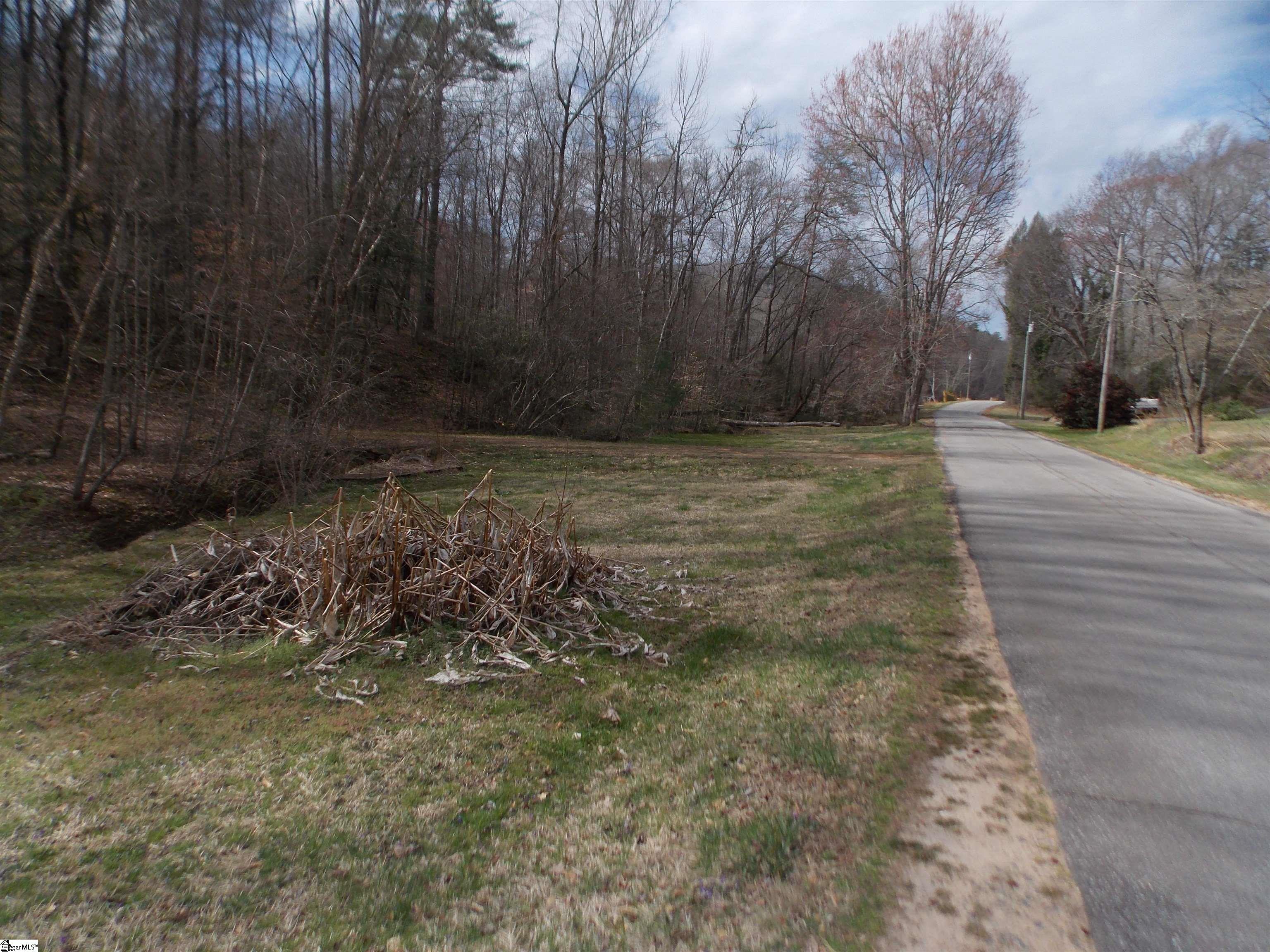 0 Holloway Road Marietta, SC 29661 - Photo 21 of 50