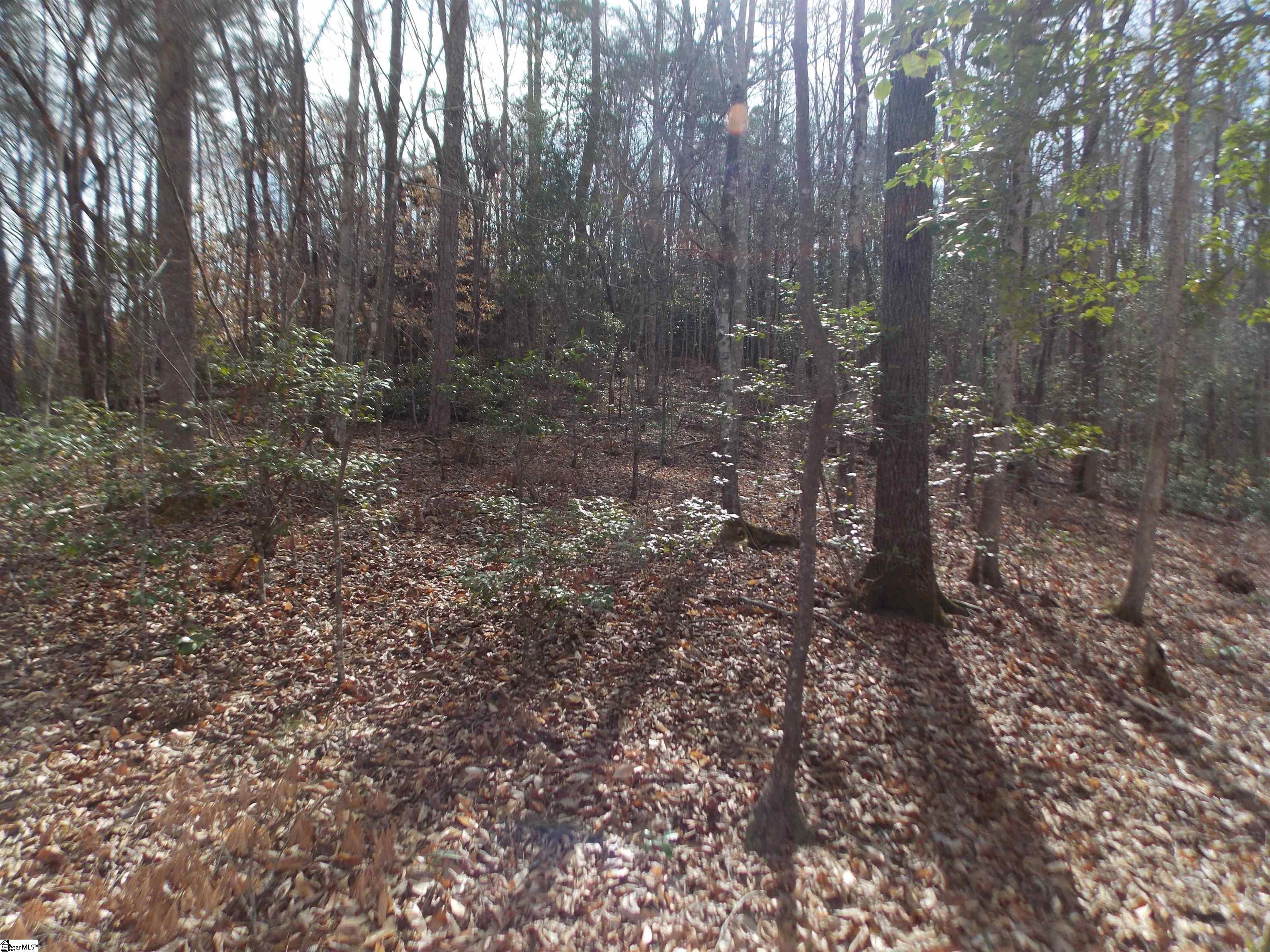 0 Holloway Road Marietta, SC 29661 - Photo 22 of 50