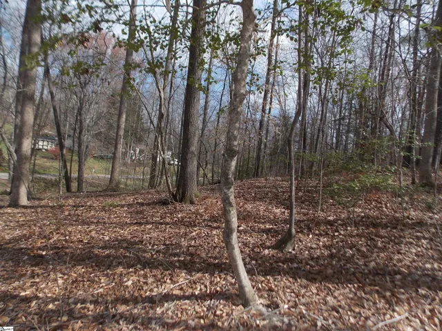 $89,500 | 0 Holloway Road, Marietta, SC 29661