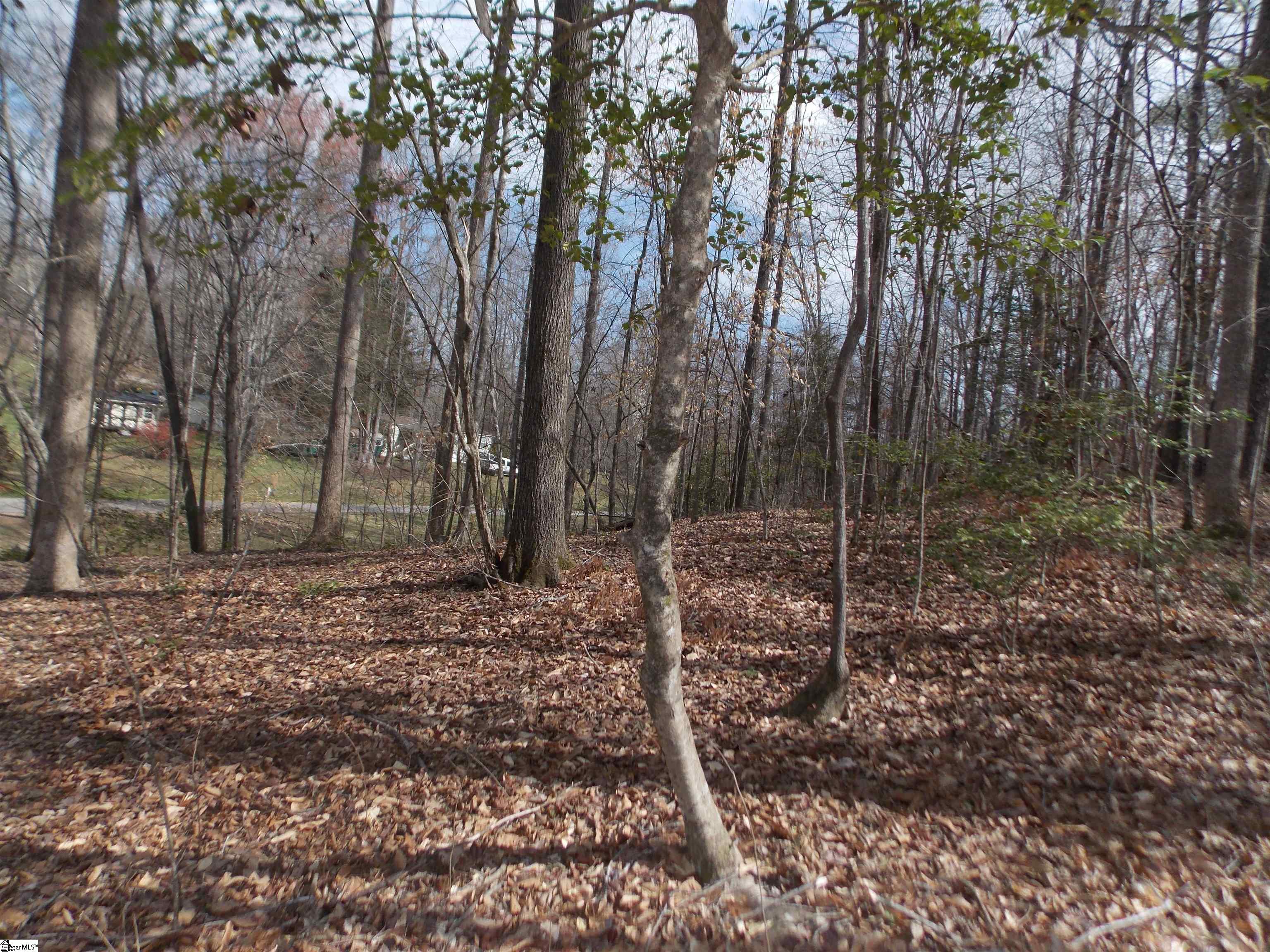 0 Holloway Road Marietta, SC 29661 - Photo 23 of 50