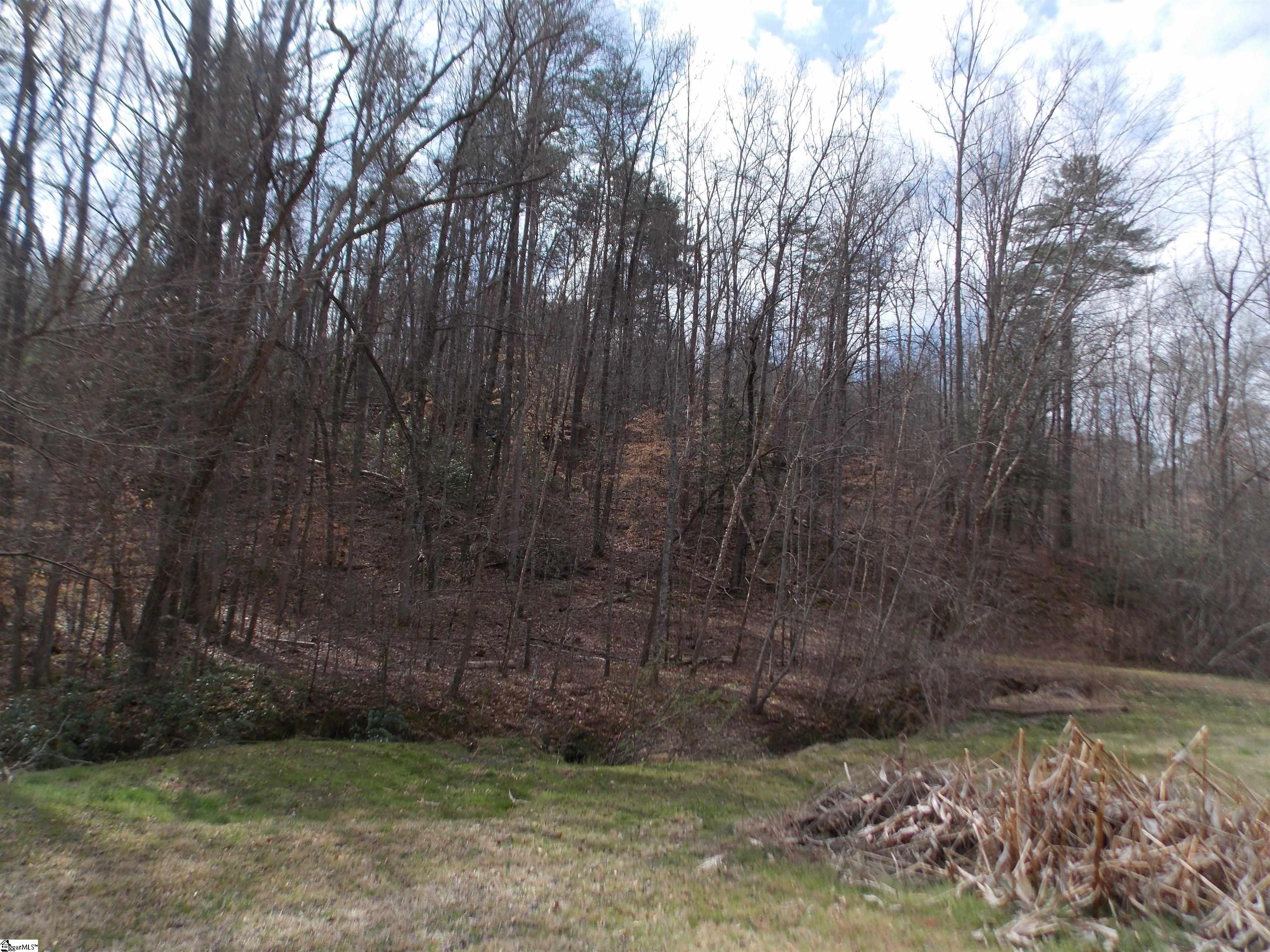 0 Holloway Road Marietta, SC 29661 - Photo 23 of 50