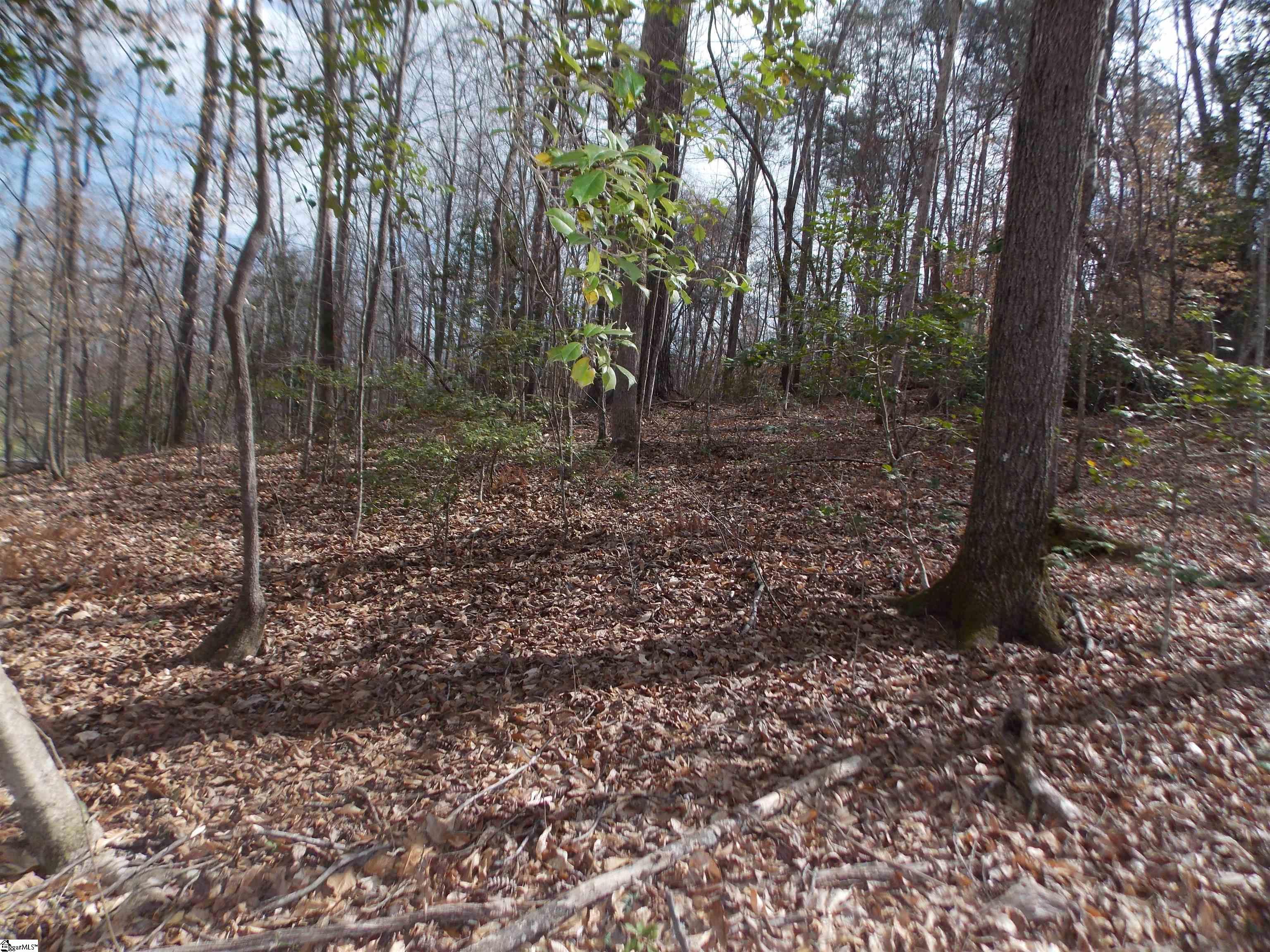 0 Holloway Road Marietta, SC 29661 - Photo 24 of 50