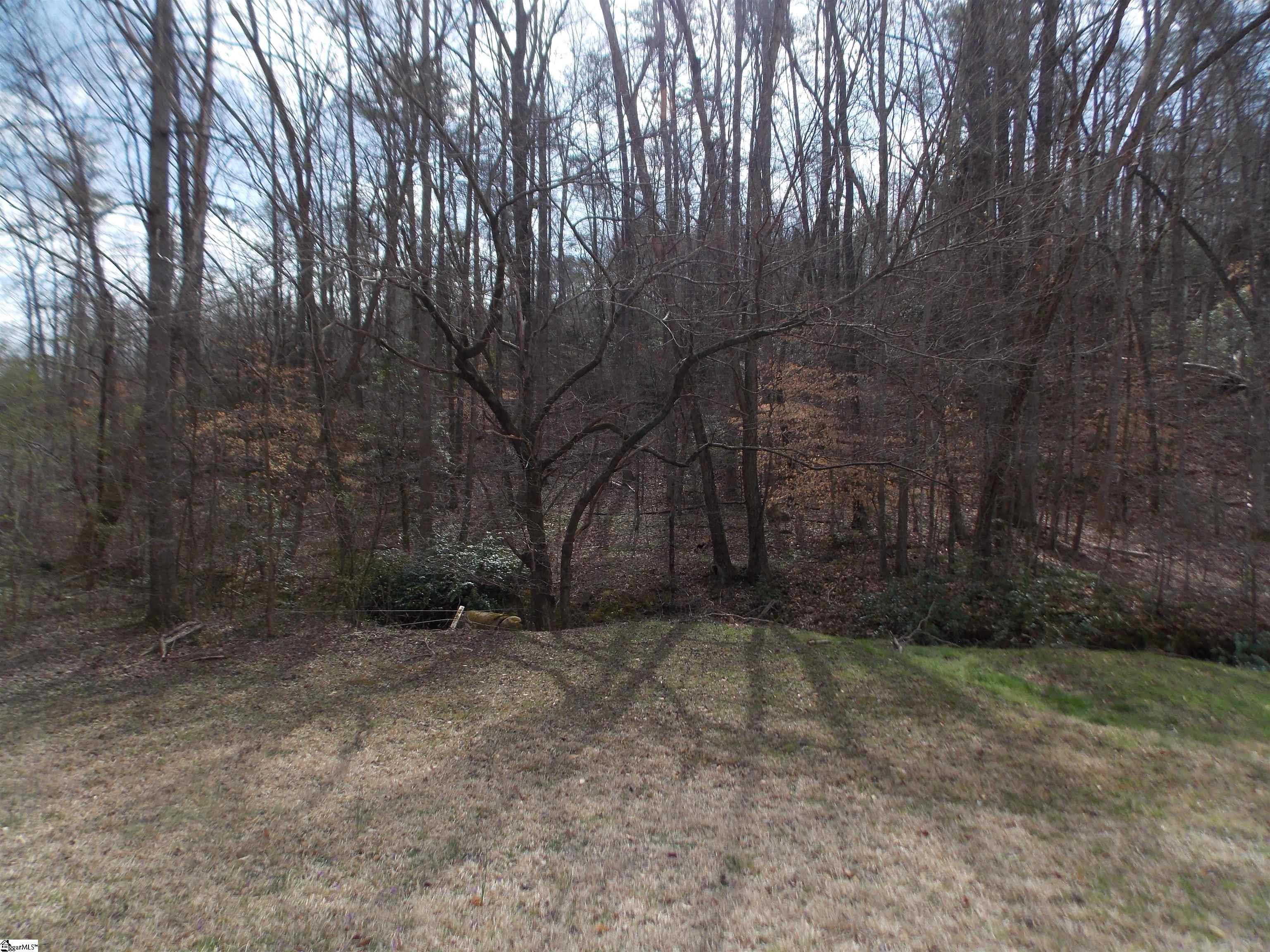 0 Holloway Road Marietta, SC 29661 - Photo 25 of 50