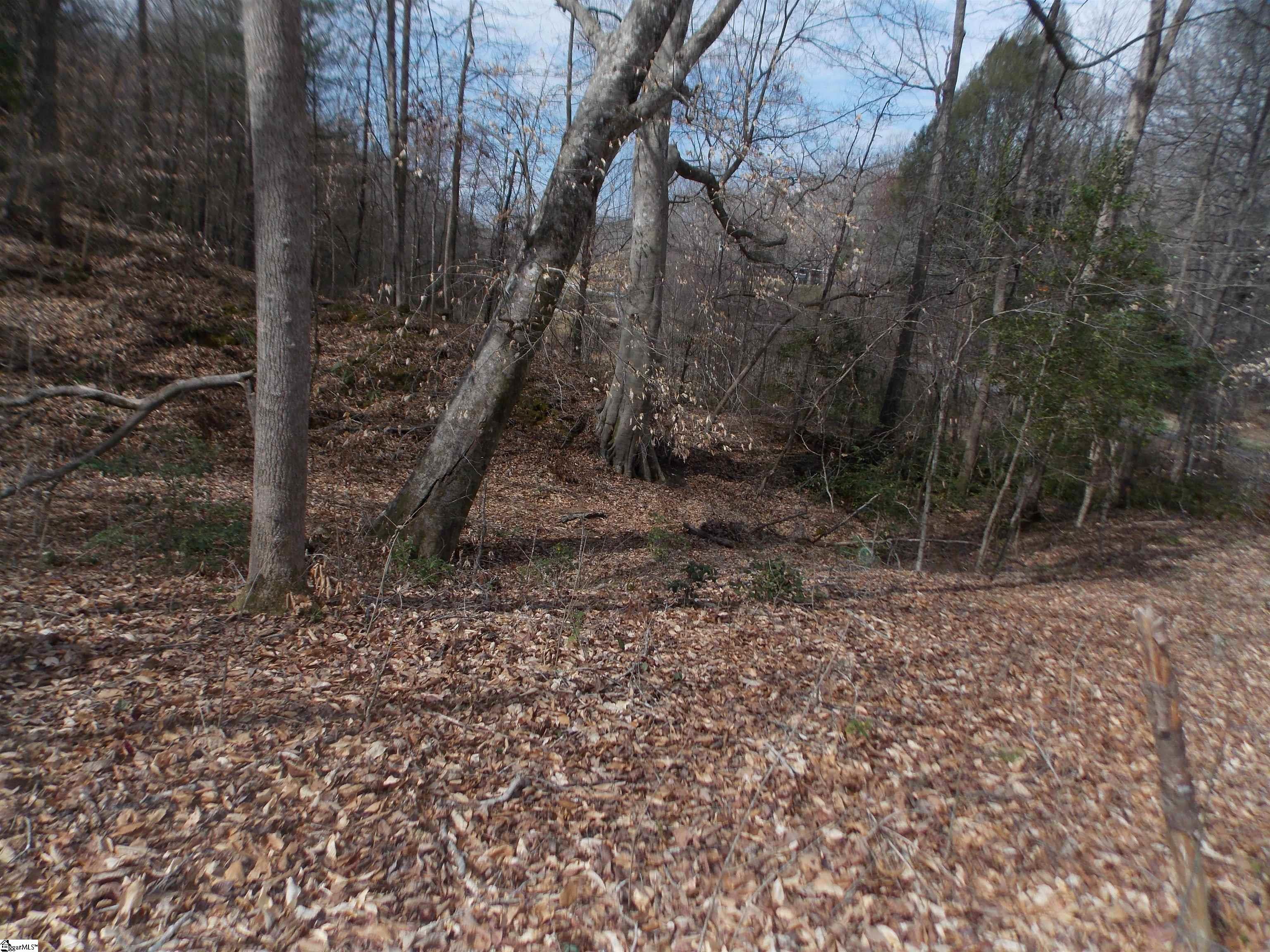 0 Holloway Road Marietta, SC 29661 - Photo 25 of 50