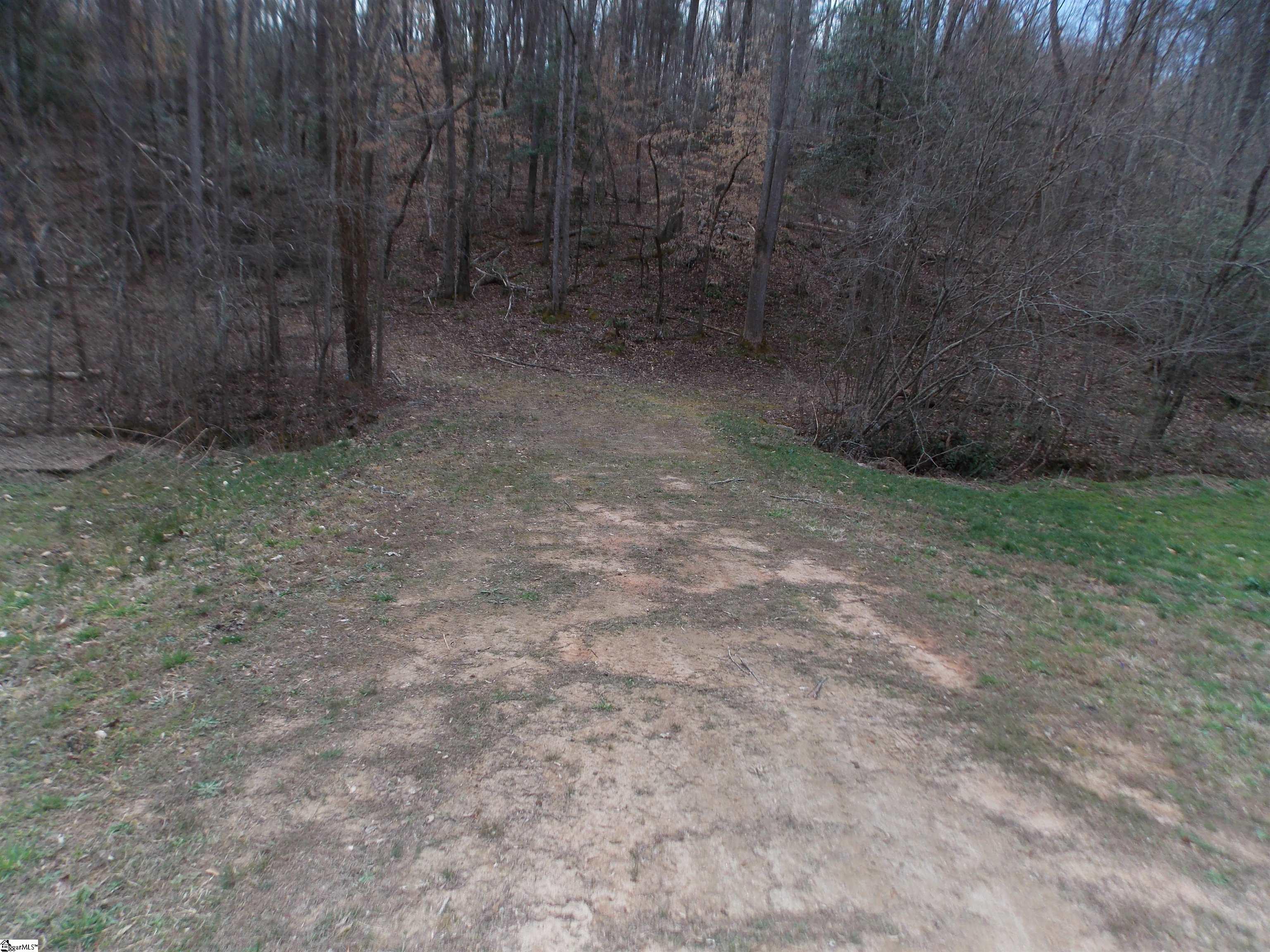 0 Holloway Road Marietta, SC 29661 - Photo 28 of 50