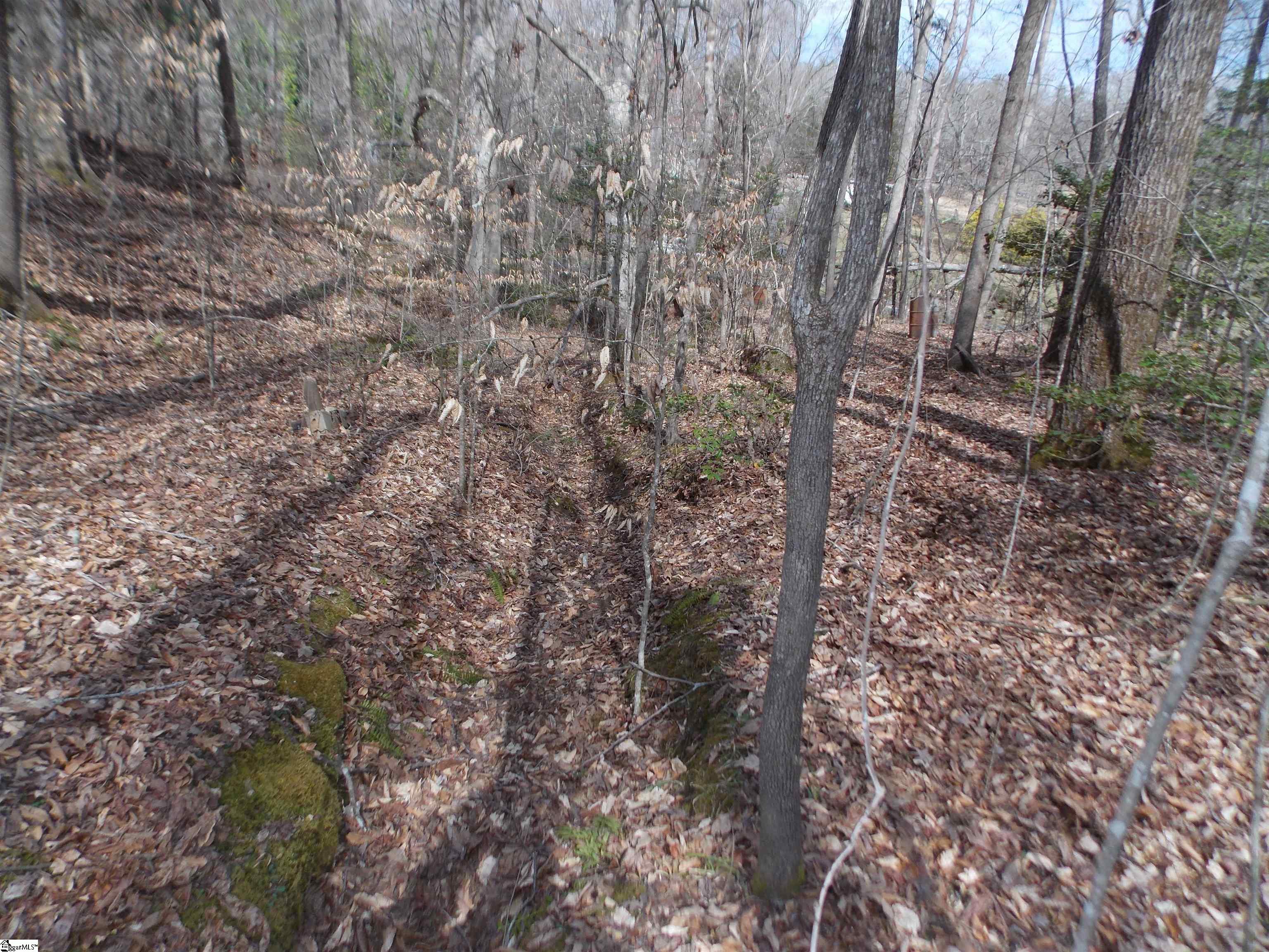 0 Holloway Road Marietta, SC 29661 - Photo 28 of 50