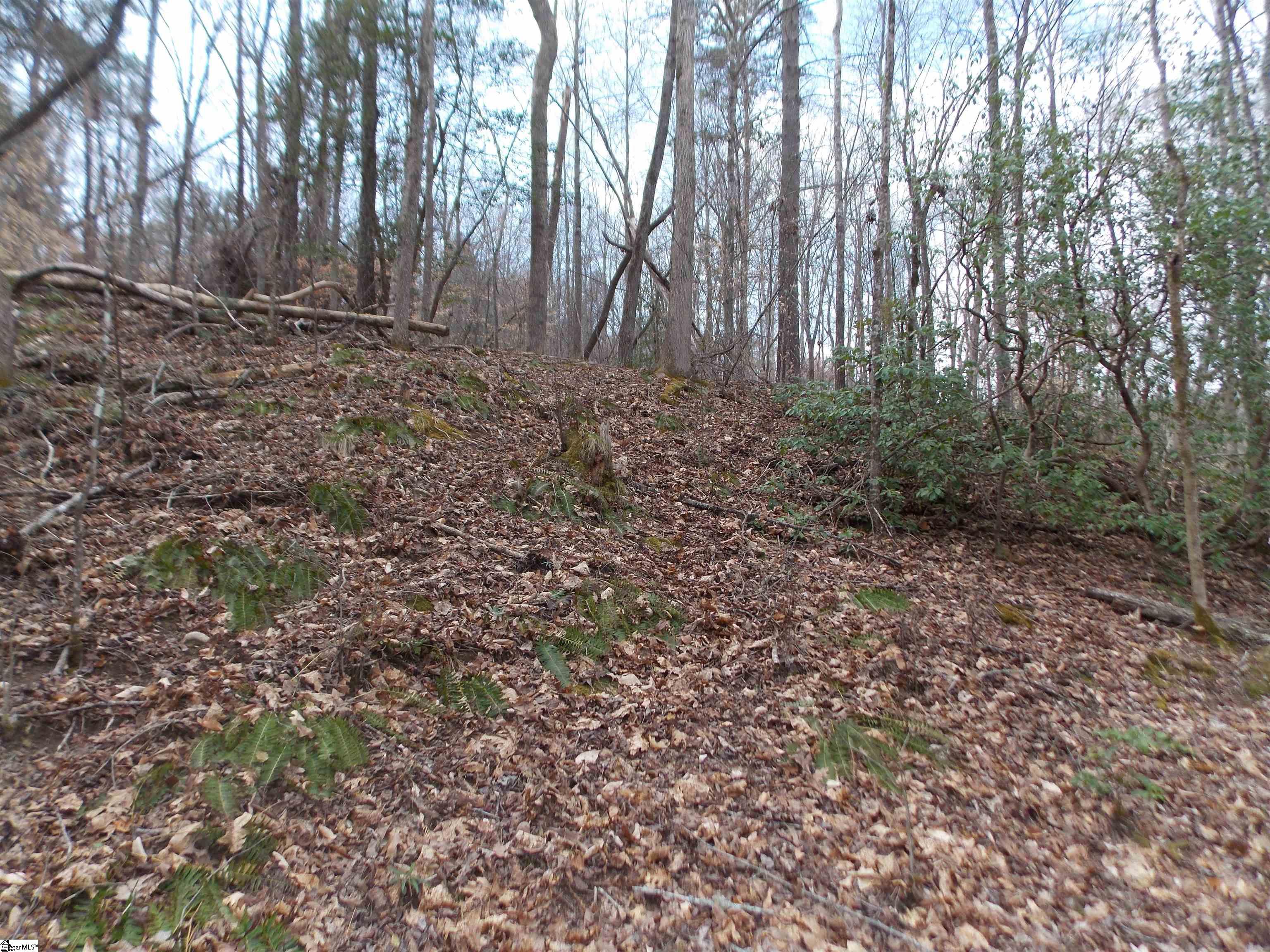 0 Holloway Road Marietta, SC 29661 - Photo 29 of 50