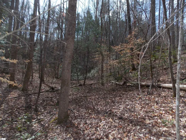 $89,500 | 0 Holloway Road, Marietta, SC 29661