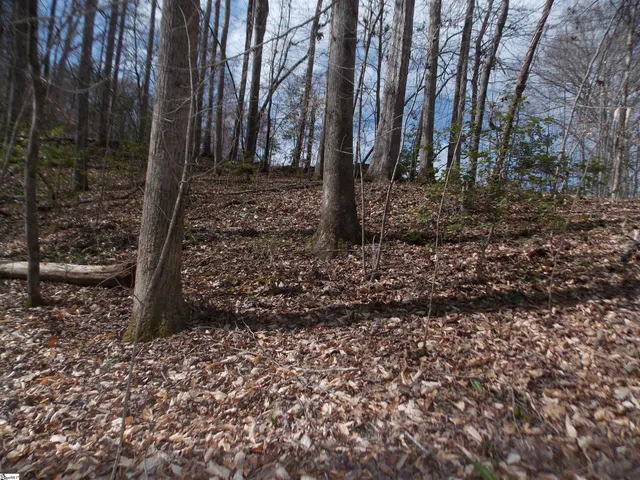 $89,500 | 0 Holloway Road, Marietta, SC 29661