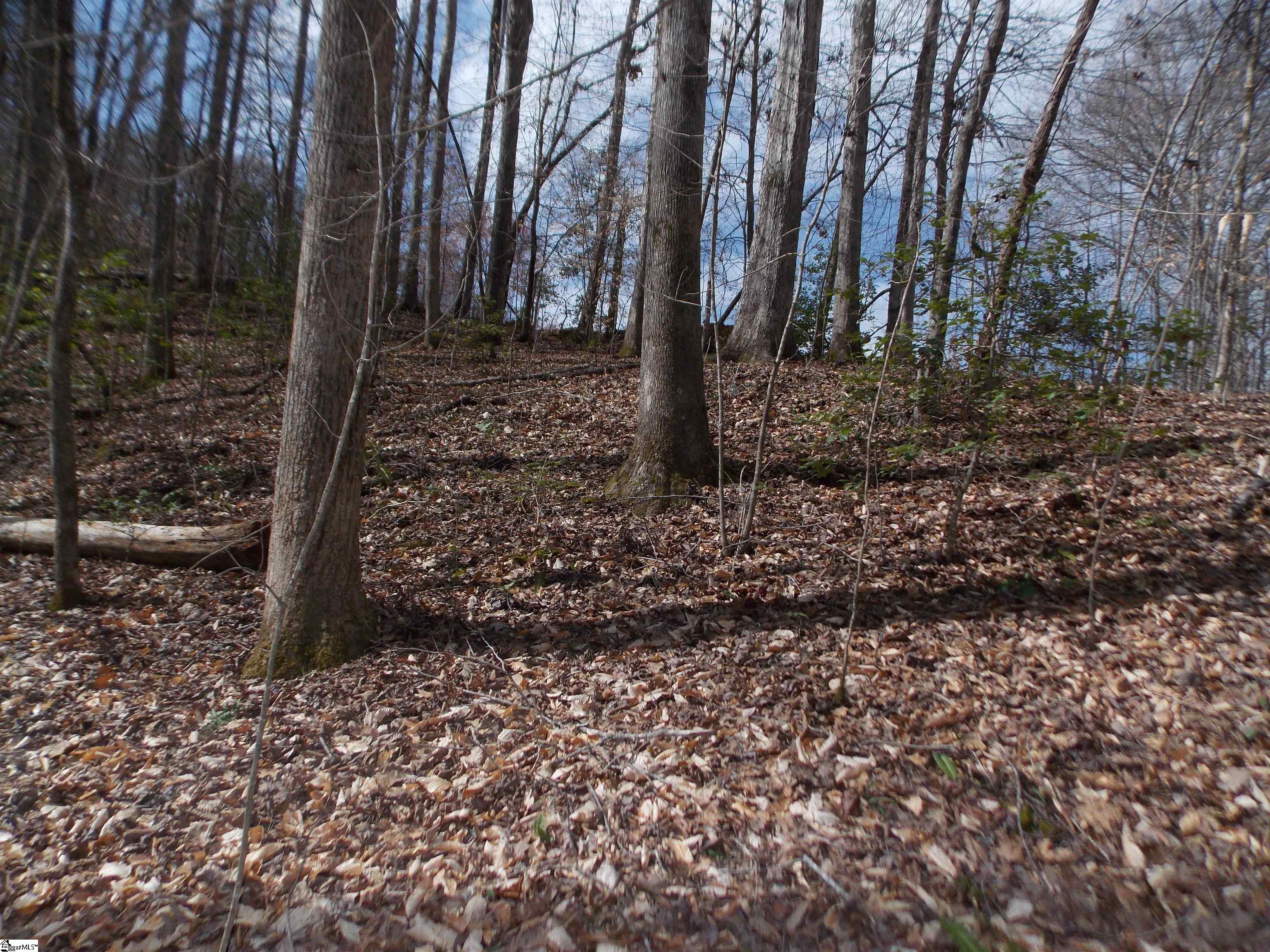 0 Holloway Road Marietta, SC 29661 - Photo 30 of 50