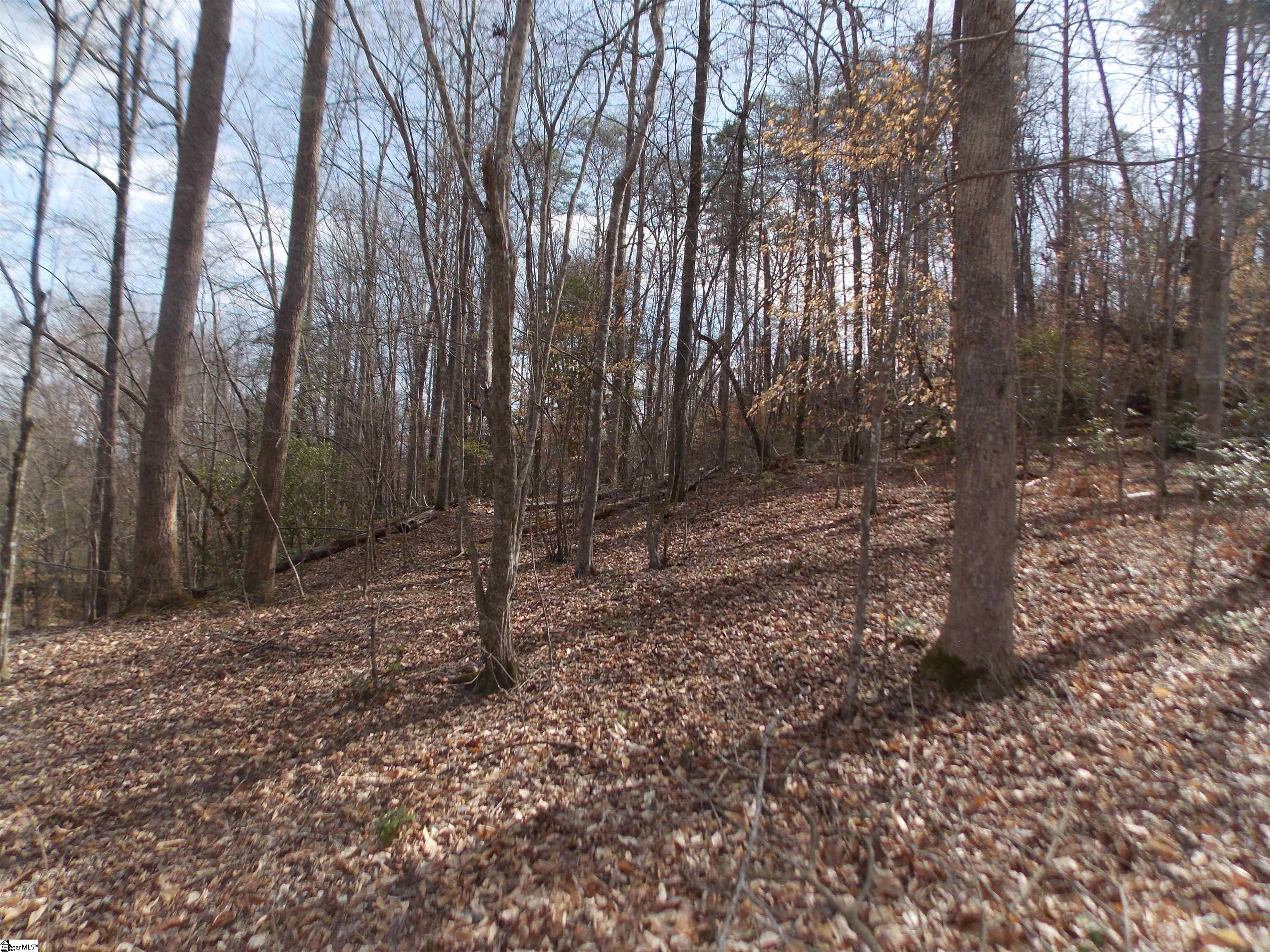 0 Holloway Road Marietta, SC 29661 - Photo 3 of 50