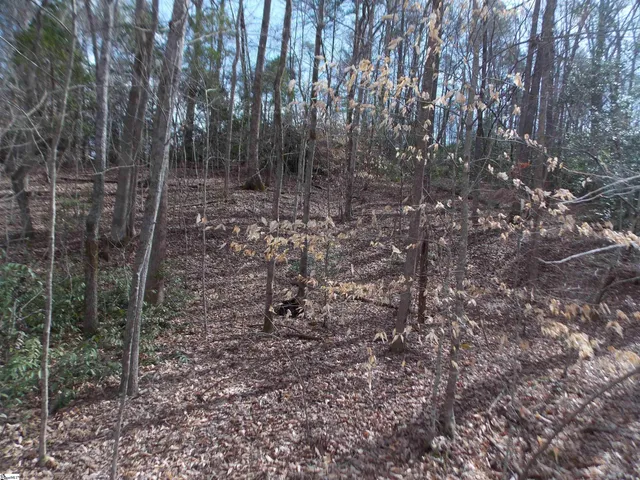 $89,500 | 0 Holloway Road, Marietta, SC 29661