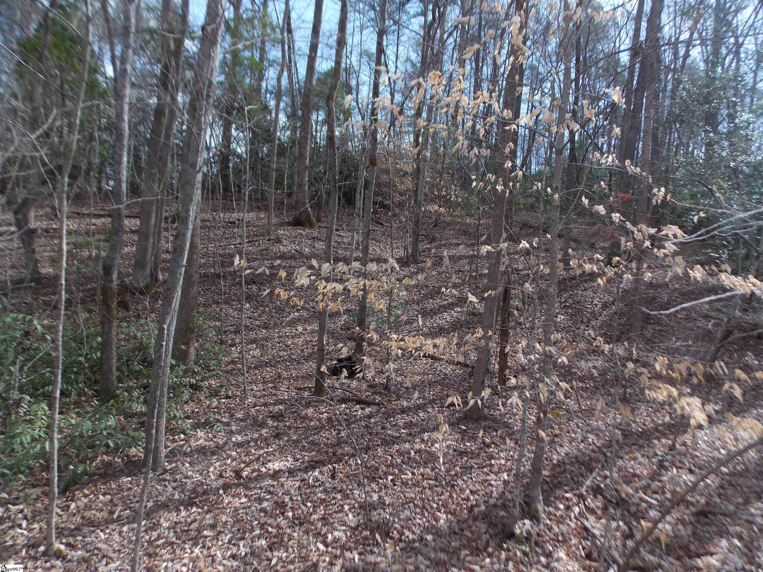 0 Holloway Road Marietta, SC 29661 - Photo 31 of 50