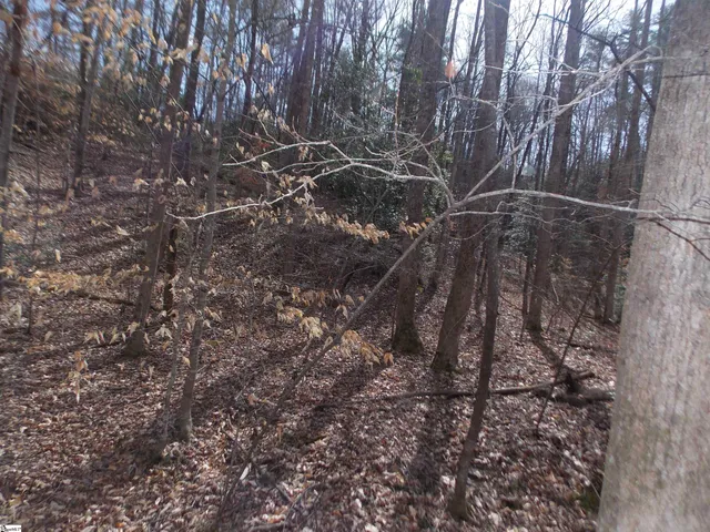 $89,500 | 0 Holloway Road, Marietta, SC 29661