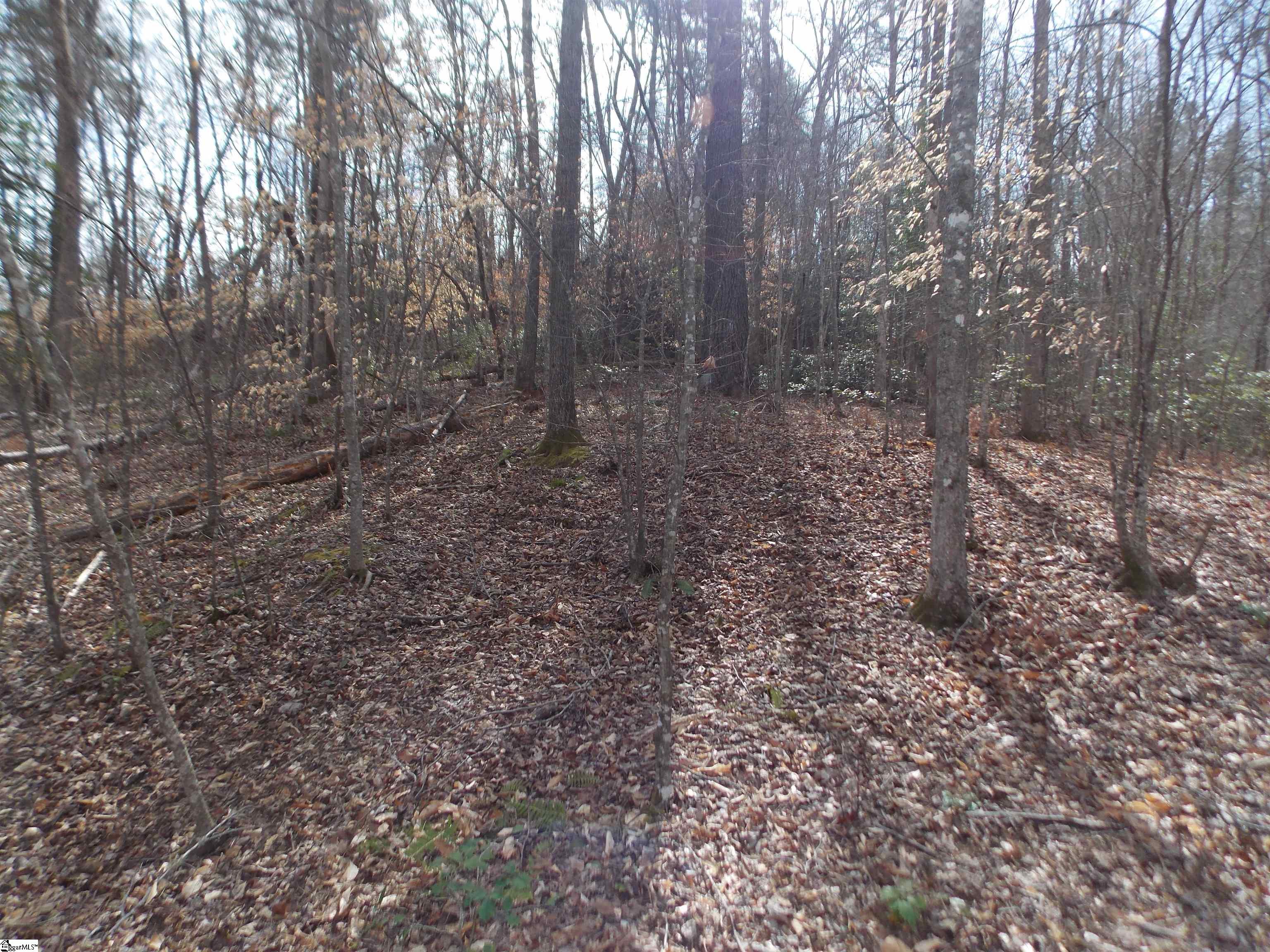 0 Holloway Road Marietta, SC 29661 - Photo 32 of 50