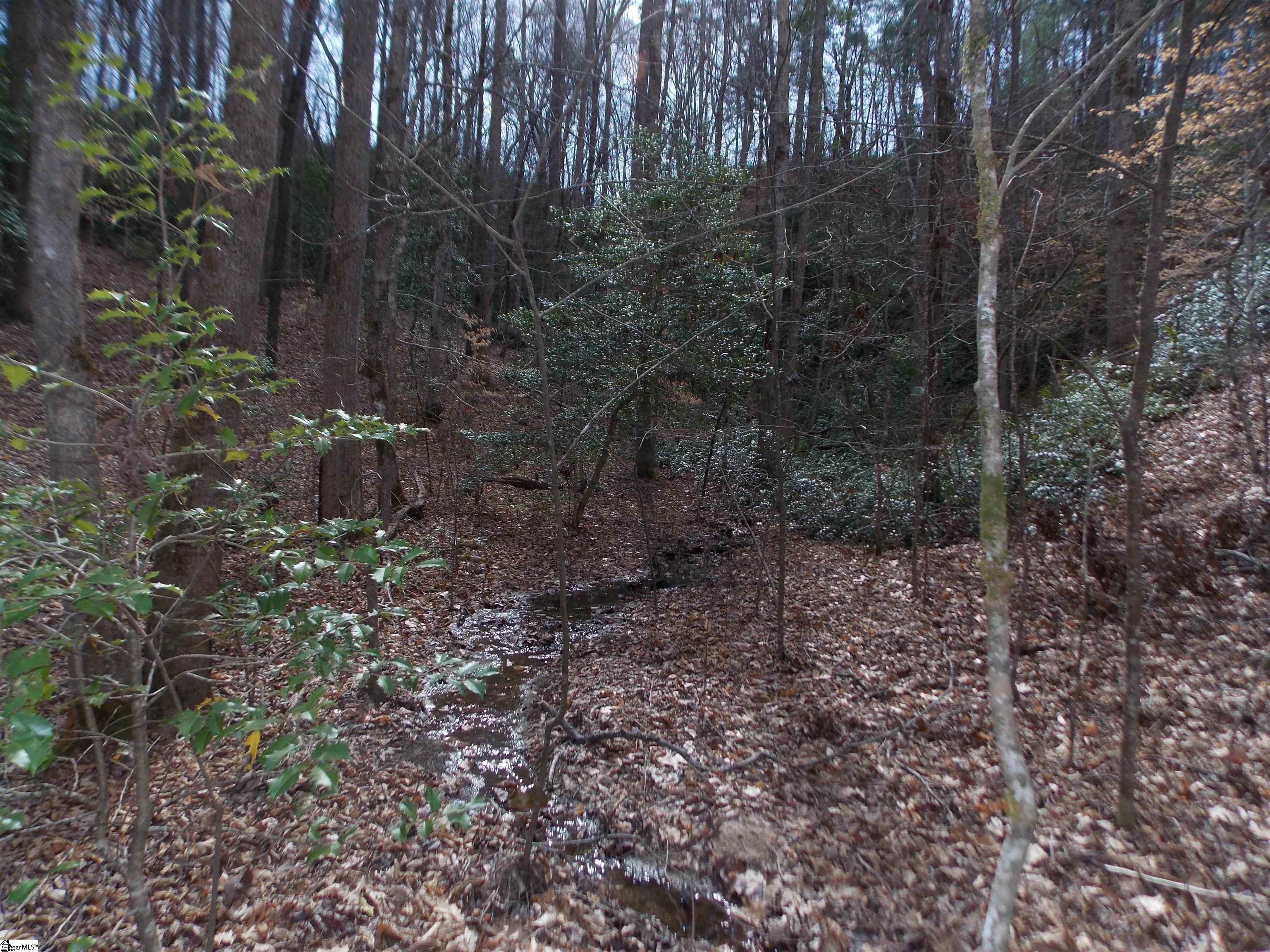 0 Holloway Road Marietta, SC 29661 - Photo 33 of 50