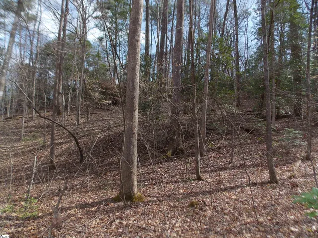 $89,500 | 0 Holloway Road, Marietta, SC 29661