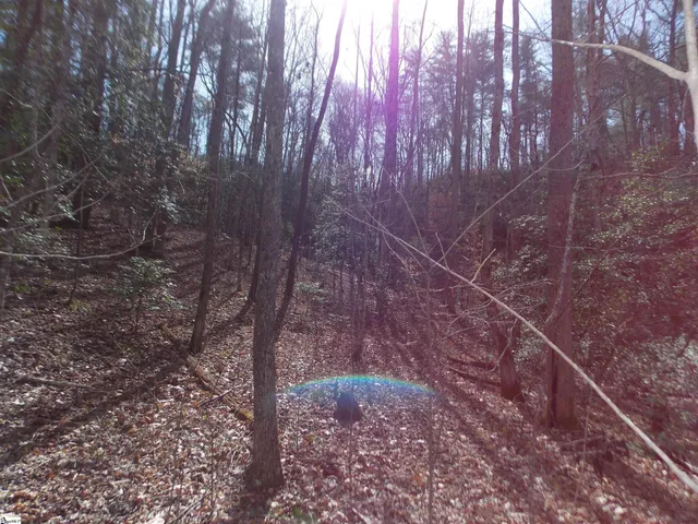 $89,500 | 0 Holloway Road, Marietta, SC 29661