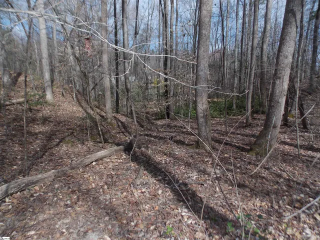 $89,500 | 0 Holloway Road, Marietta, SC 29661