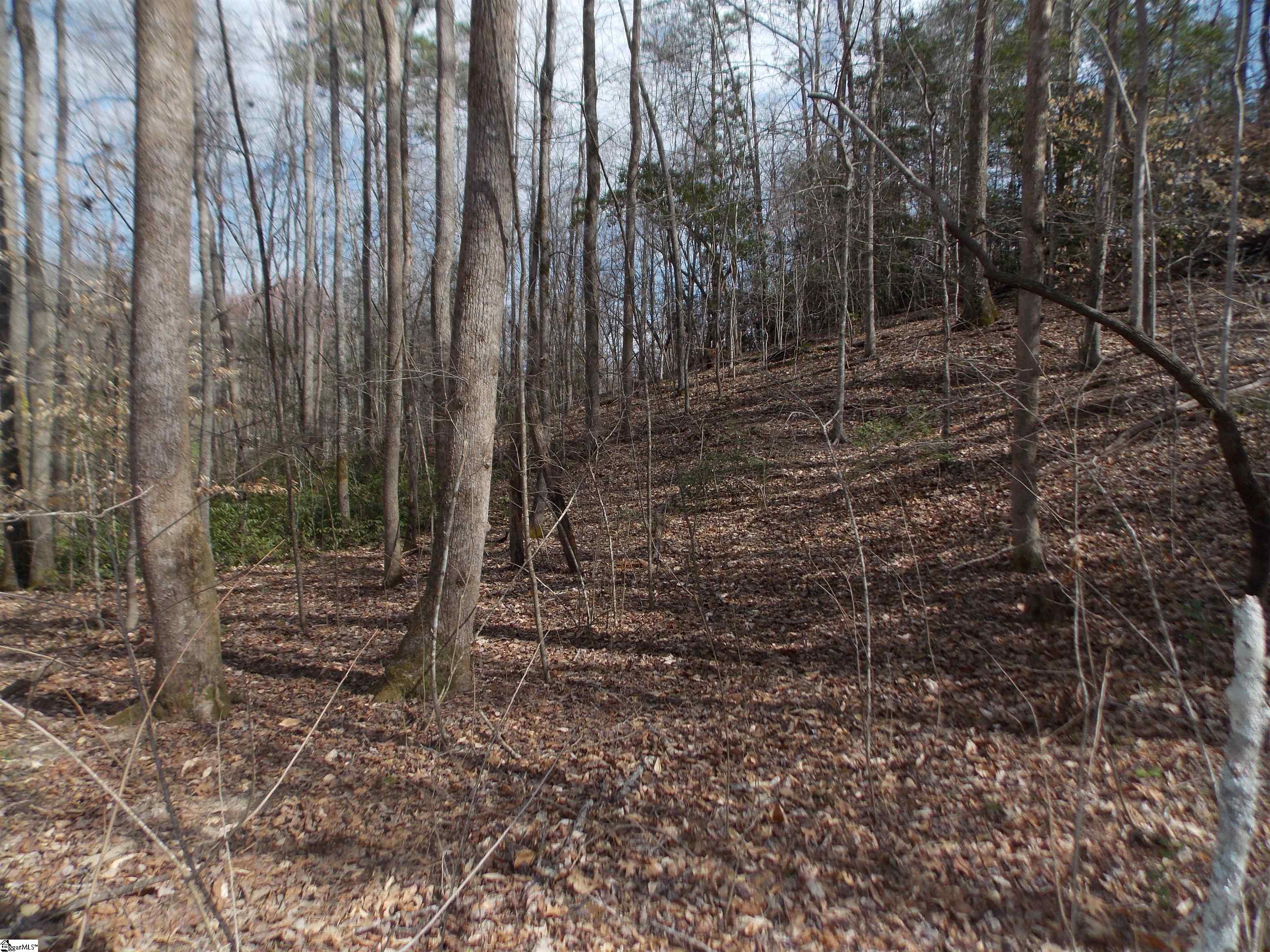 0 Holloway Road Marietta, SC 29661 - Photo 38 of 50