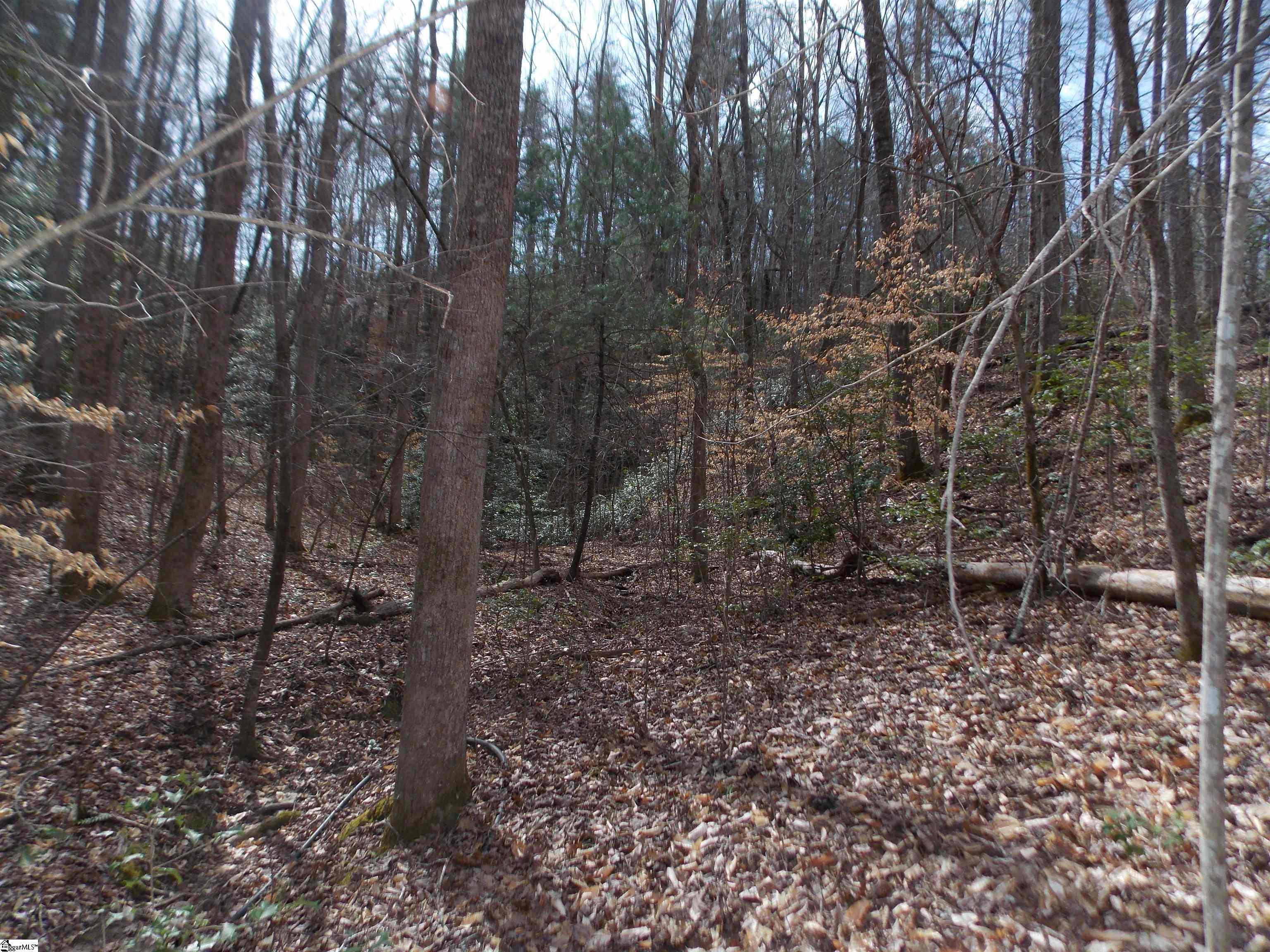 0 Holloway Road Marietta, SC 29661 - Photo 39 of 50