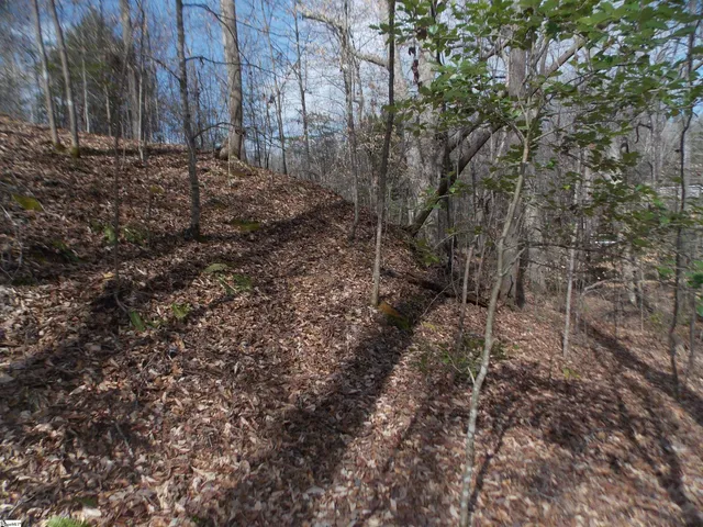 $89,500 | 0 Holloway Road, Marietta, SC 29661