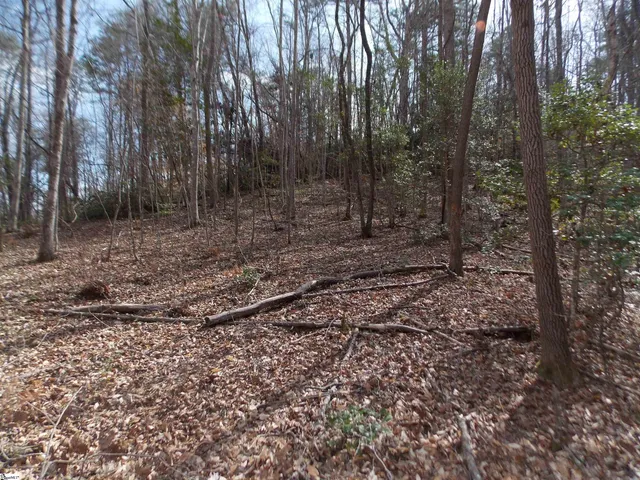 $89,500 | 0 Holloway Road, Marietta, SC 29661