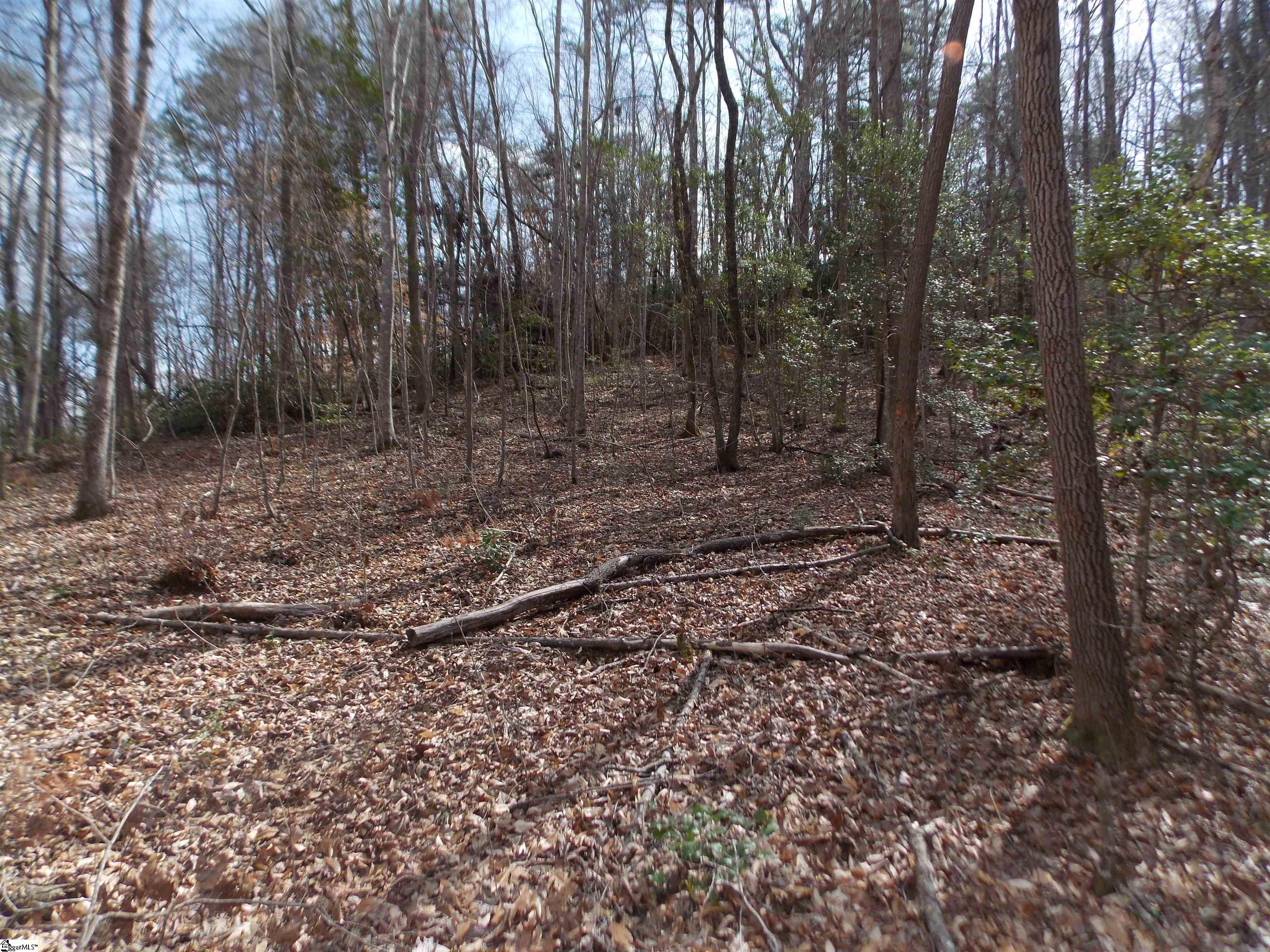 0 Holloway Road Marietta, SC 29661 - Photo 41 of 50