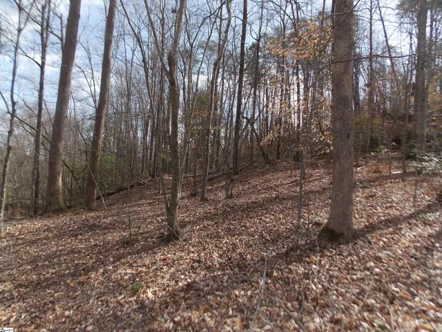 $89,500 | 0 Holloway Road, Marietta, SC 29661