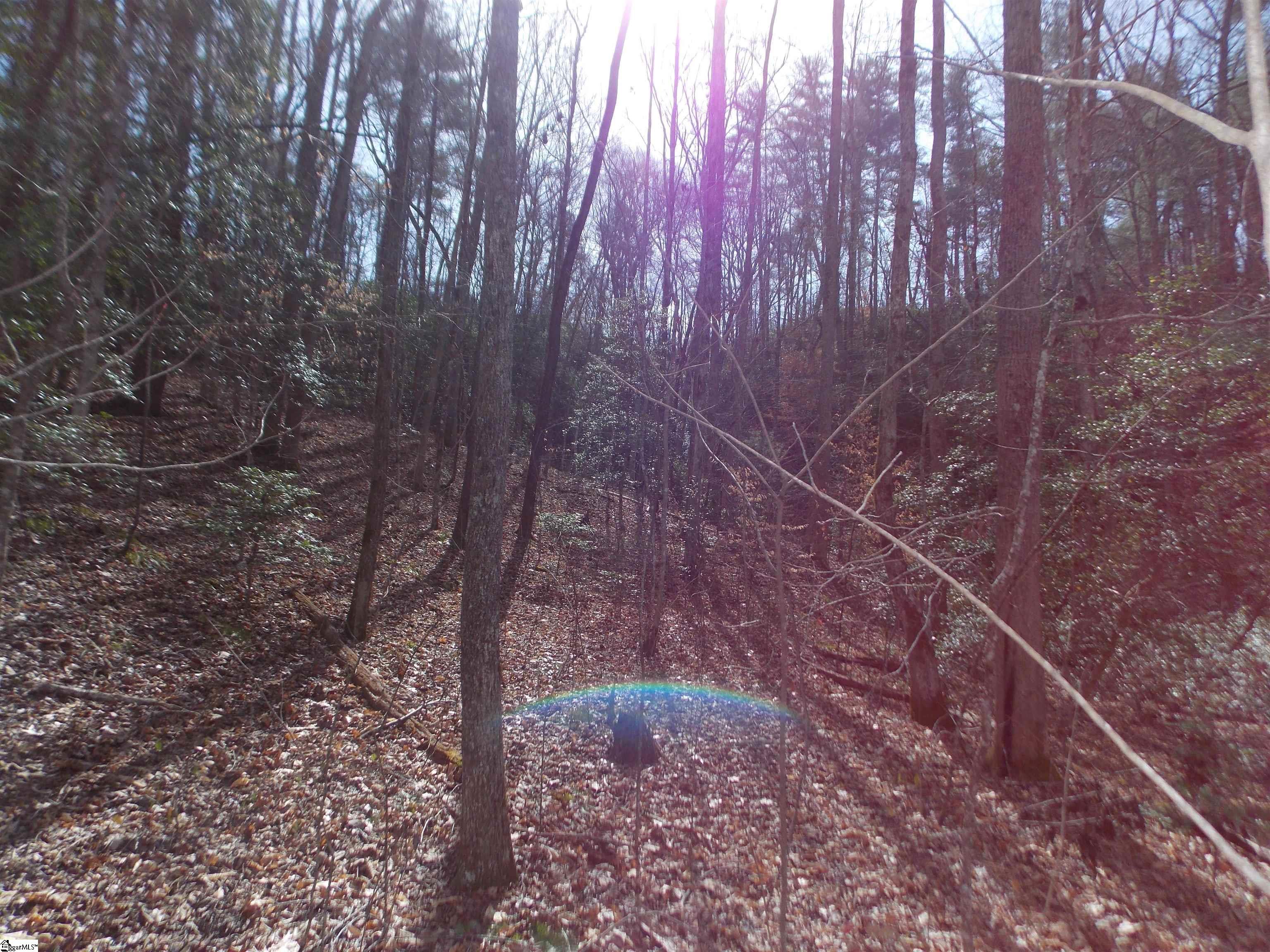 0 Holloway Road Marietta, SC 29661 - Photo 42 of 50