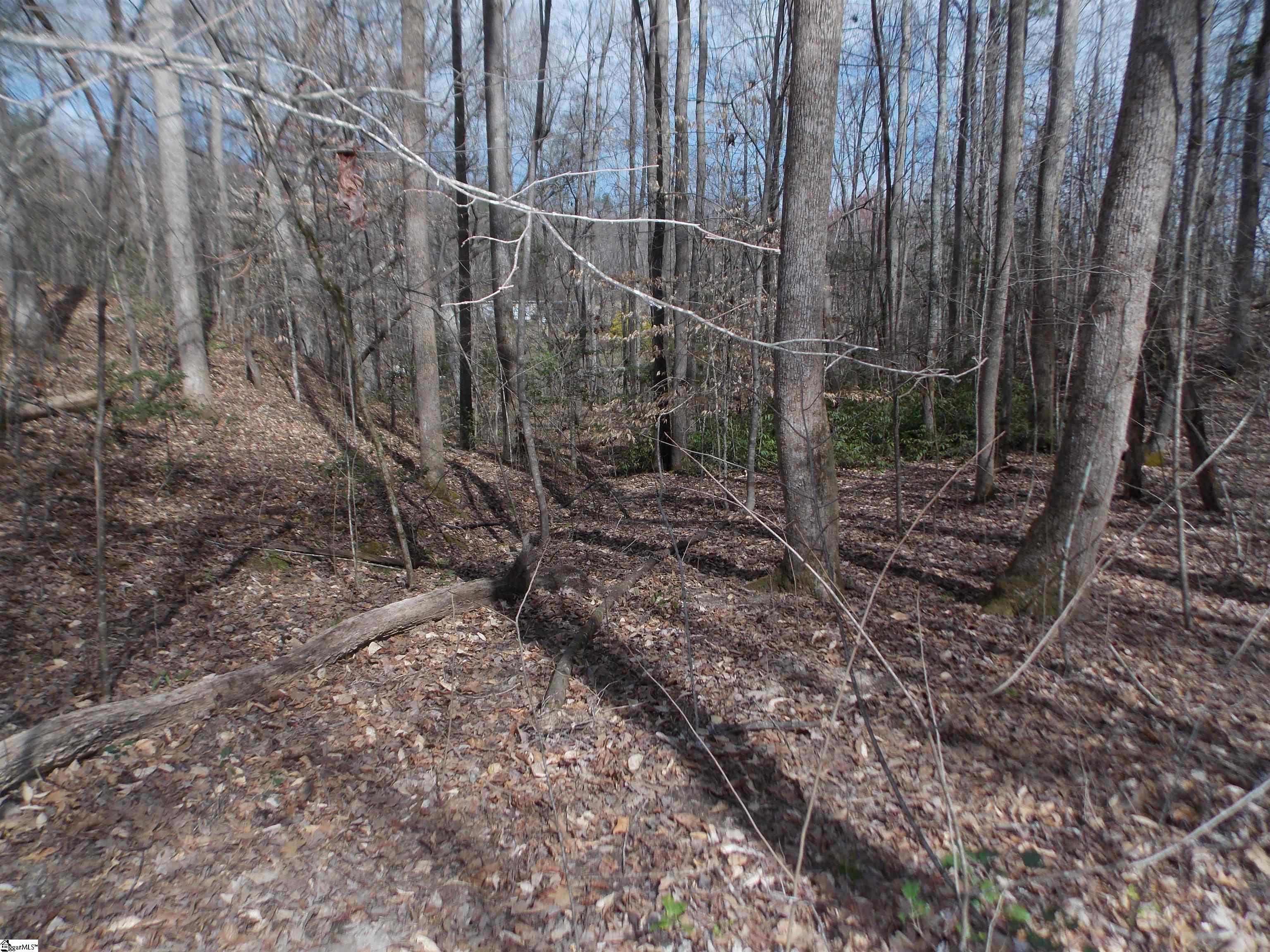 0 Holloway Road Marietta, SC 29661 - Photo 43 of 50