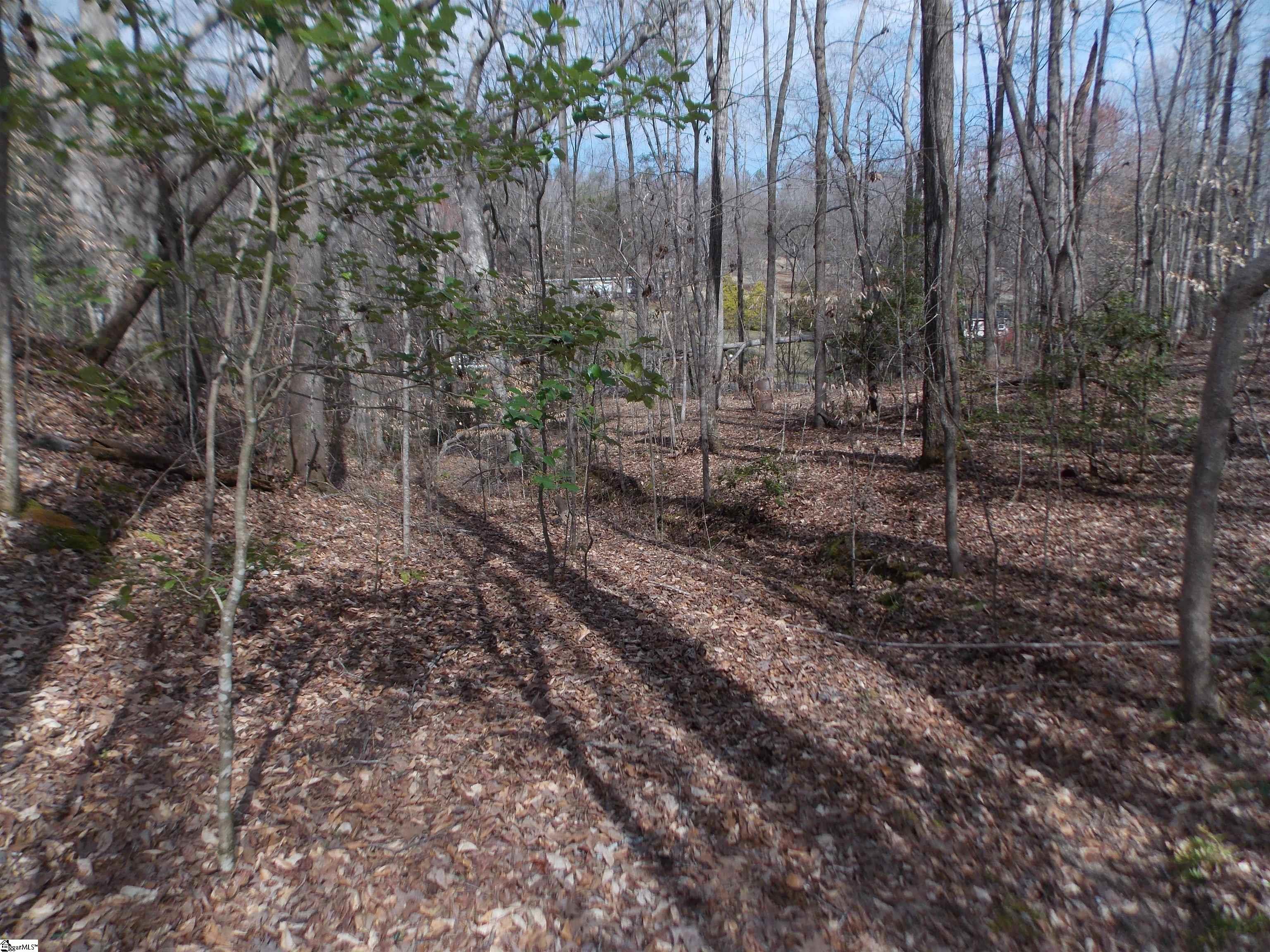 0 Holloway Road Marietta, SC 29661 - Photo 45 of 50