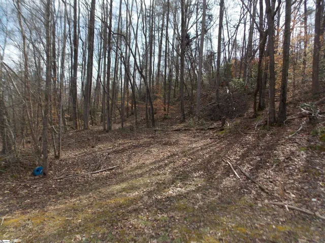 $89,500 | 0 Holloway Road, Marietta, SC 29661