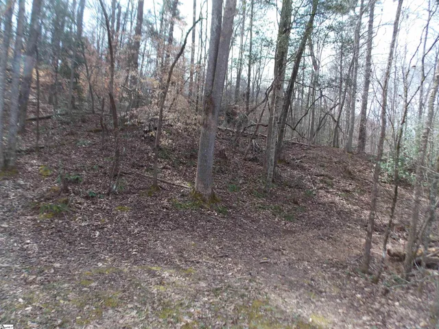 $89,500 | 0 Holloway Road, Marietta, SC 29661