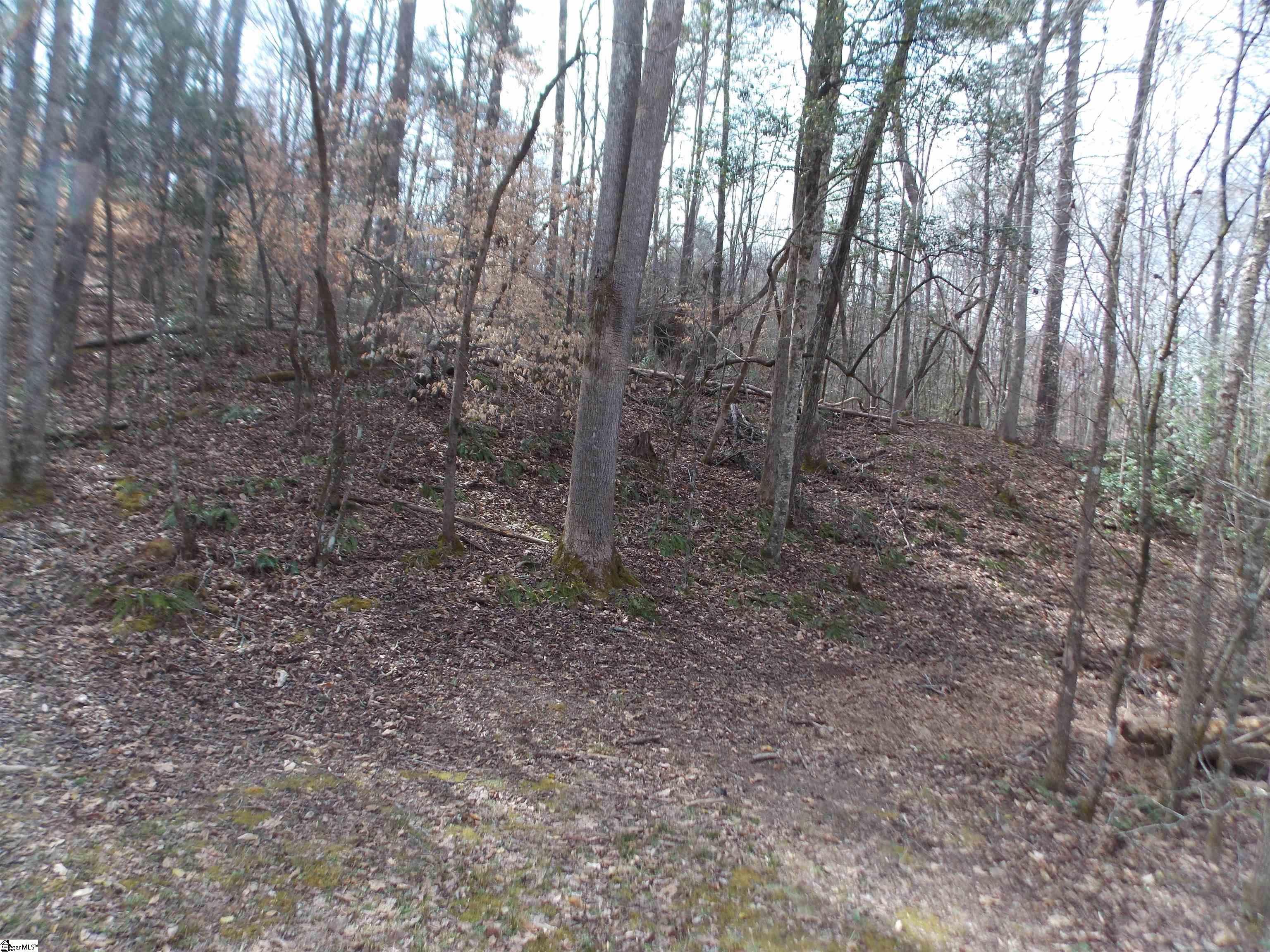 0 Holloway Road Marietta, SC 29661 - Photo 47 of 50