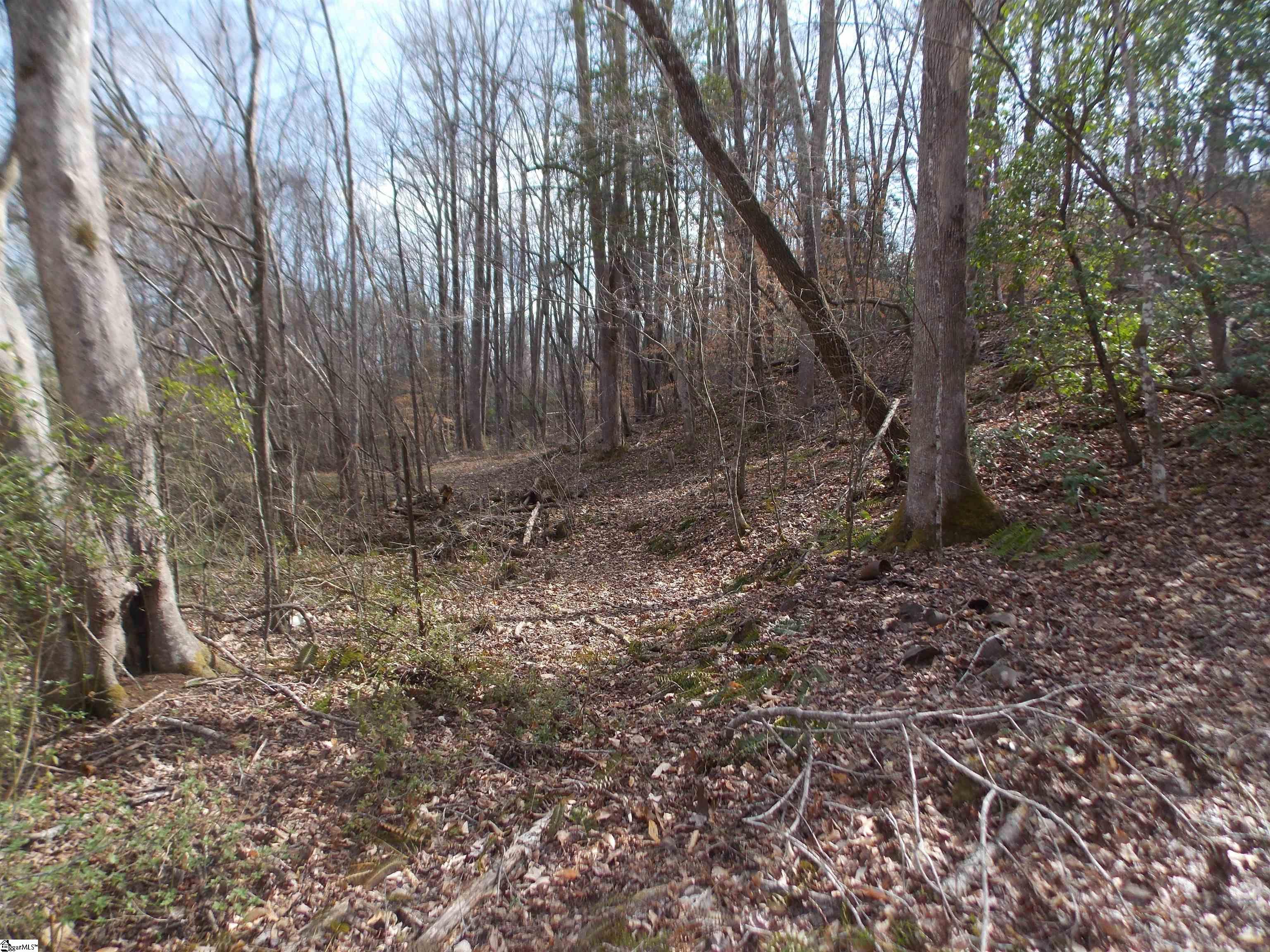 0 Holloway Road Marietta, SC 29661 - Photo 49 of 50