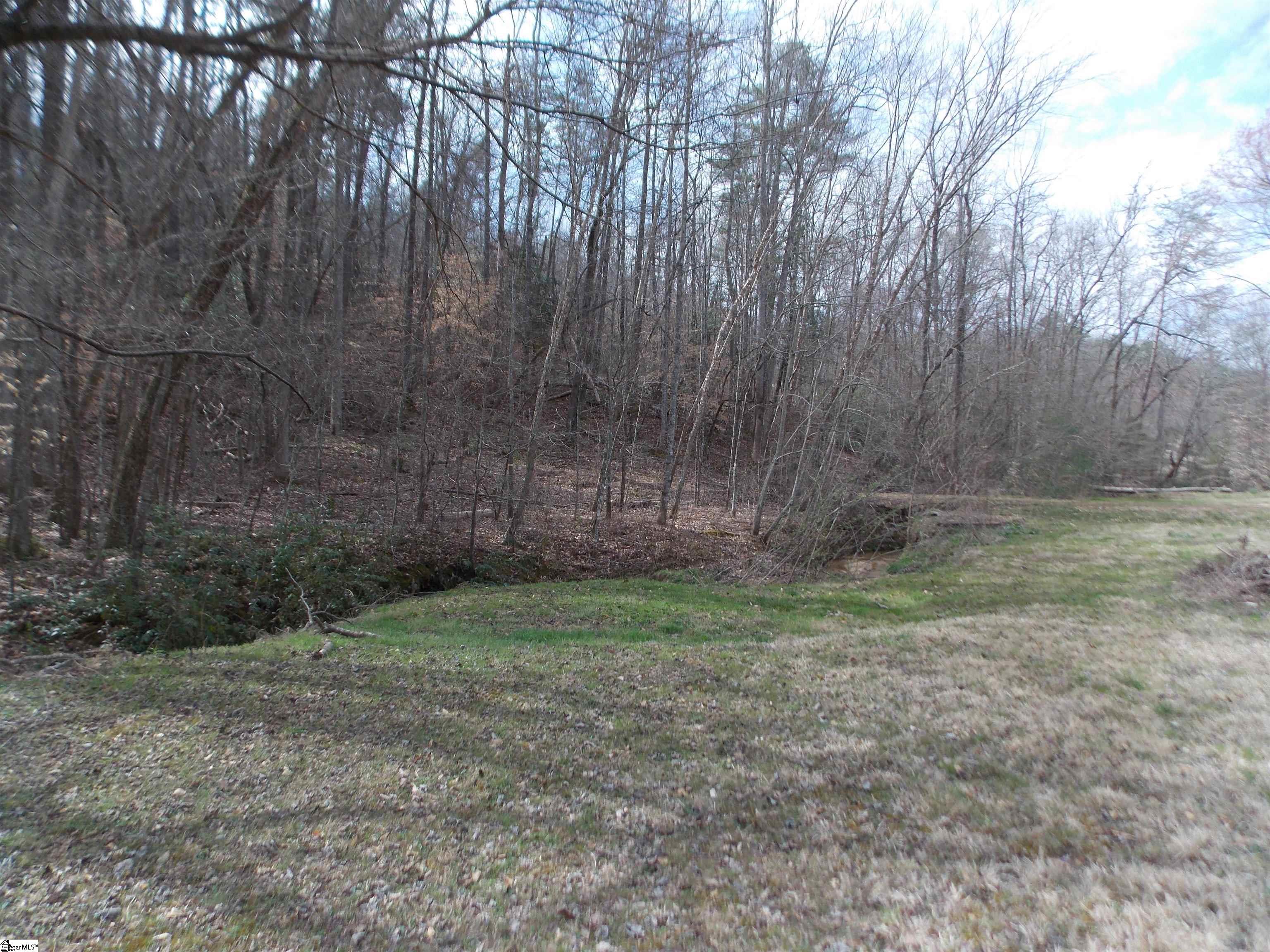 0 Holloway Road Marietta, SC 29661 - Photo 6 of 50