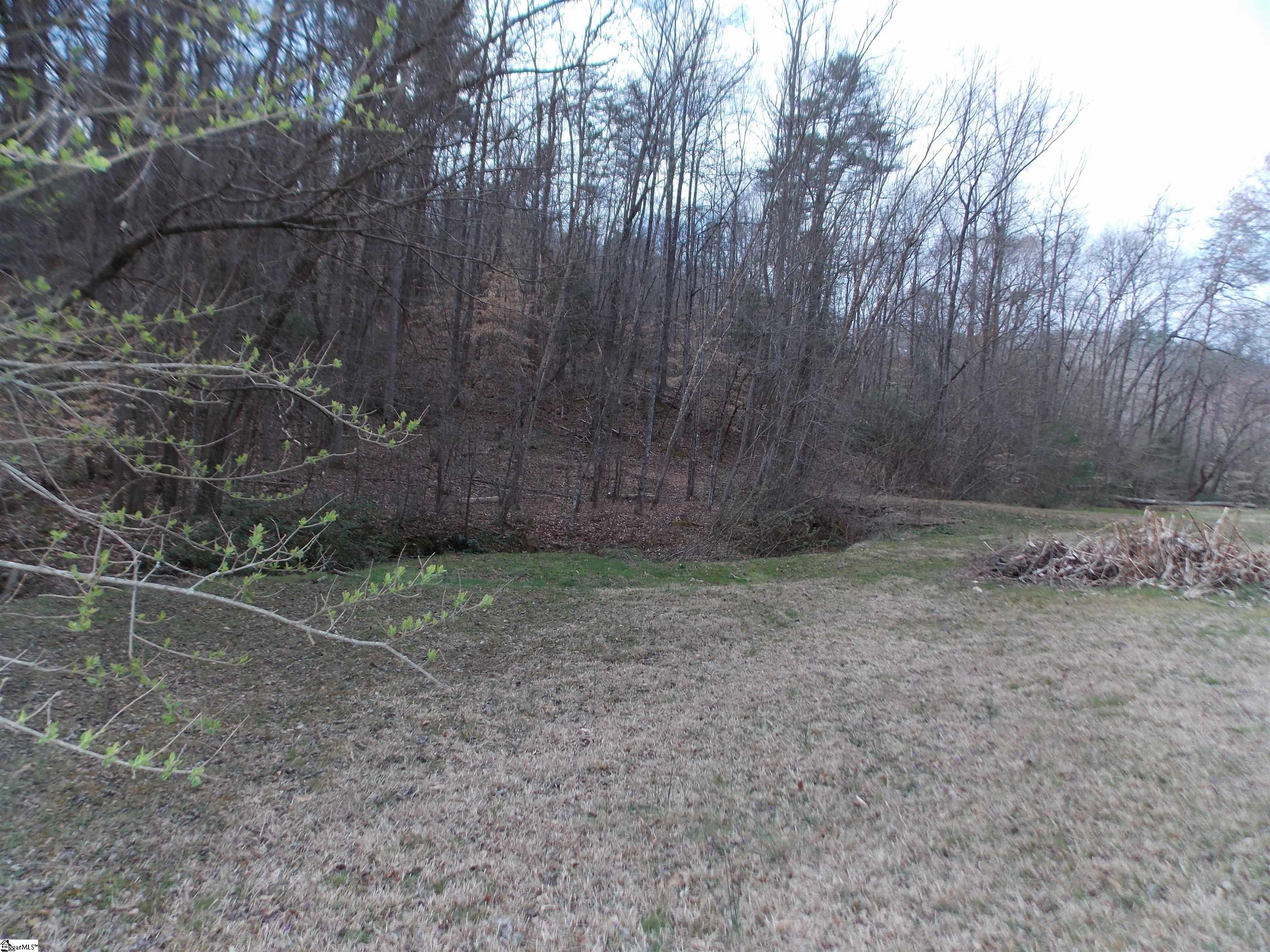 0 Holloway Road Marietta, SC 29661 - Photo 8 of 50