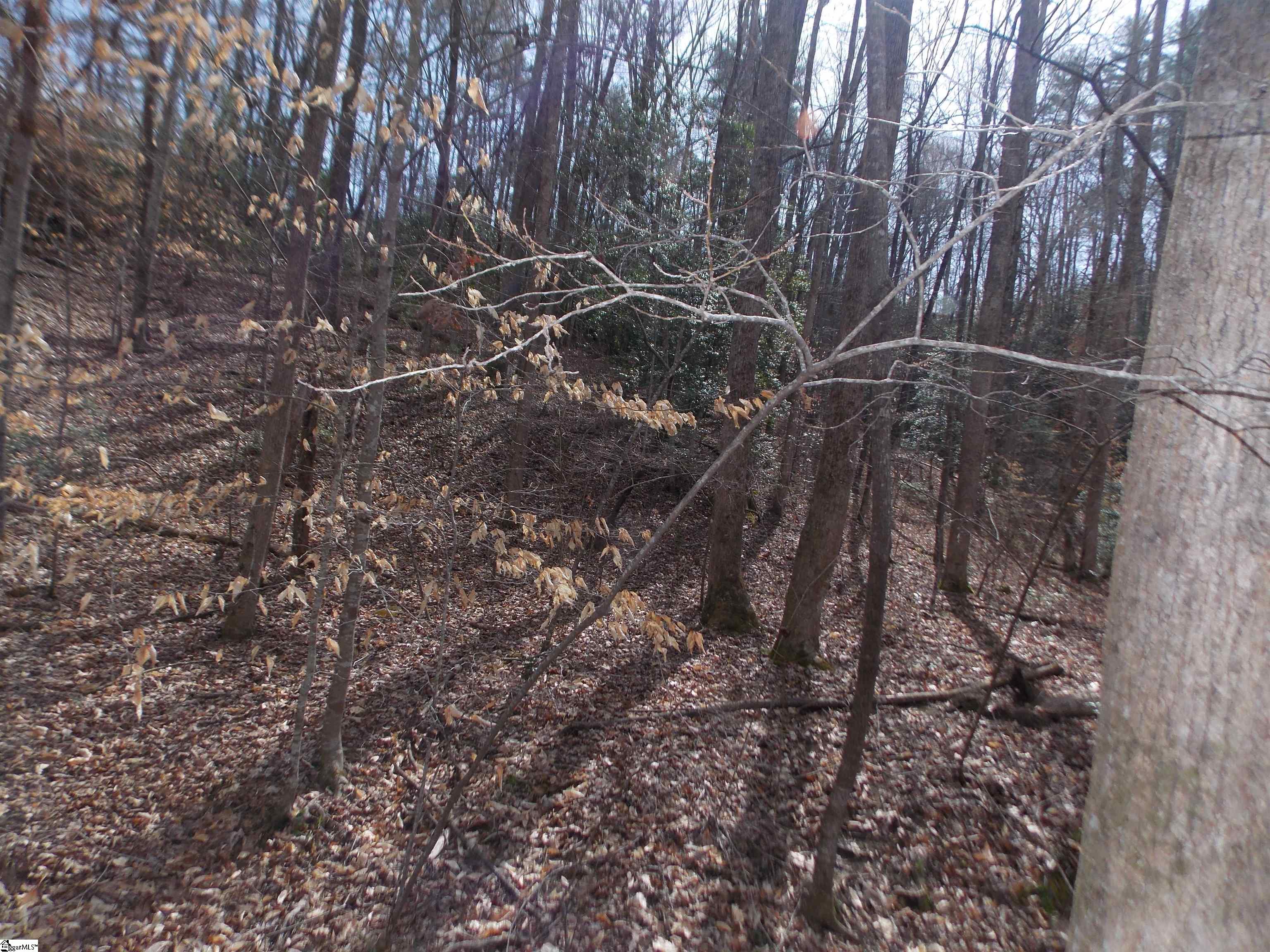 0 Holloway Road Marietta, SC 29661 - Photo 9 of 50