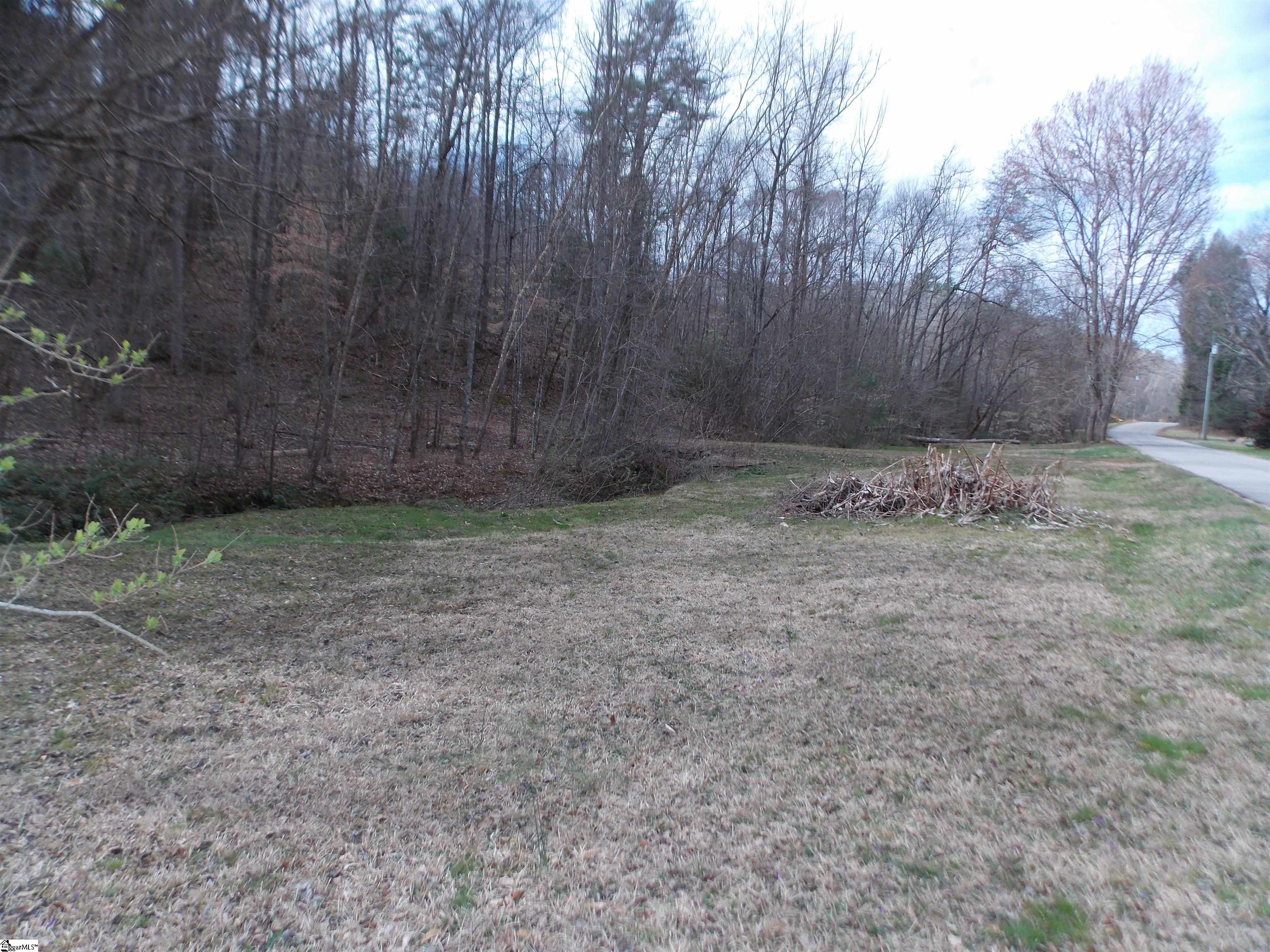 0 Holloway Road Marietta, SC 29661 - Photo 9 of 50