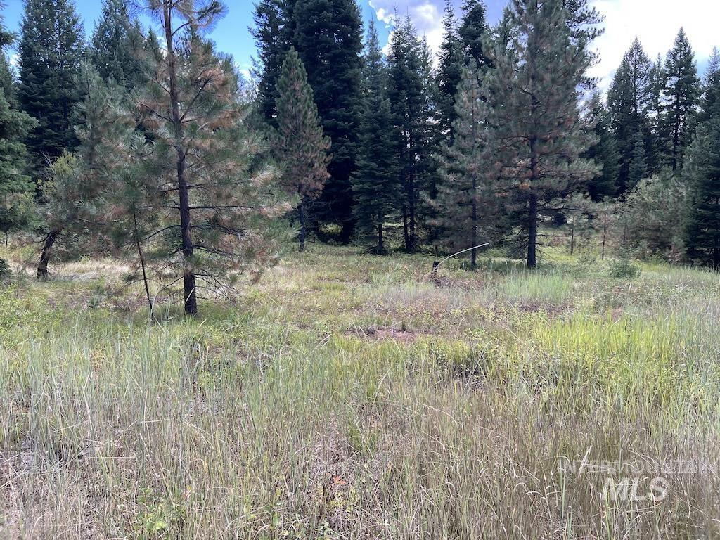 8 Whitefield Lane McCall, ID 83638 - Photo 11 of 16