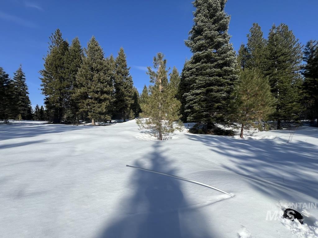 8 Whitefield Lane McCall, ID 83638 - Photo 13 of 16