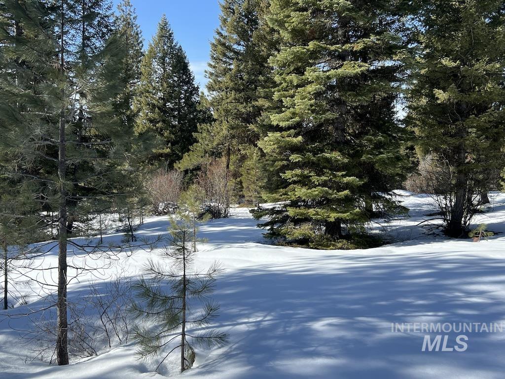 8 Whitefield Lane McCall, ID 83638 - Photo 8 of 16