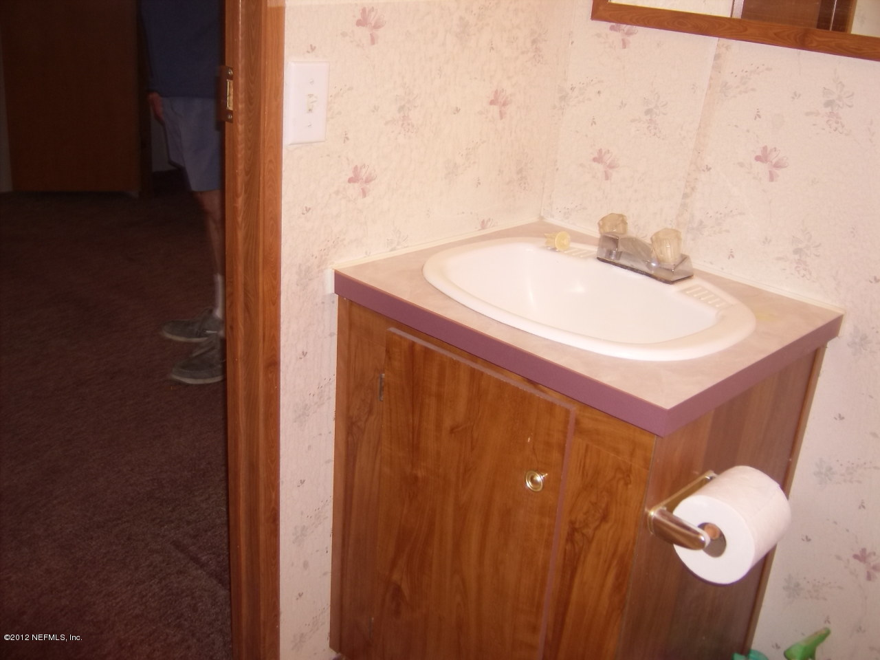 108 Pecan Grove Road Palatka, FL 32177 - Photo 9 of 9 Master Bath-2