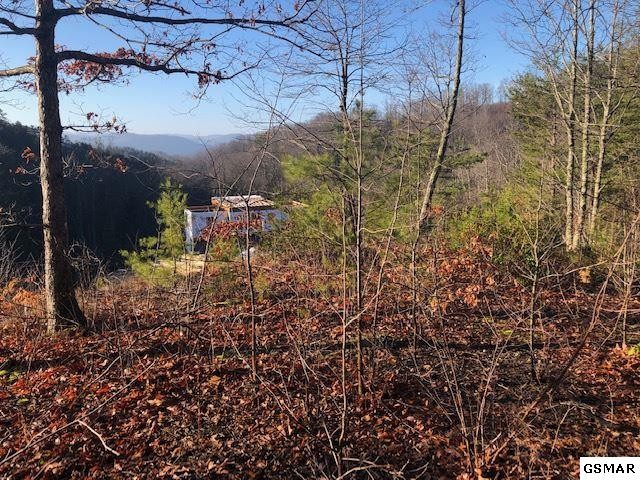 116 Summit Trails Drive Sevierville, TN 37862 - Photo 1 of 13