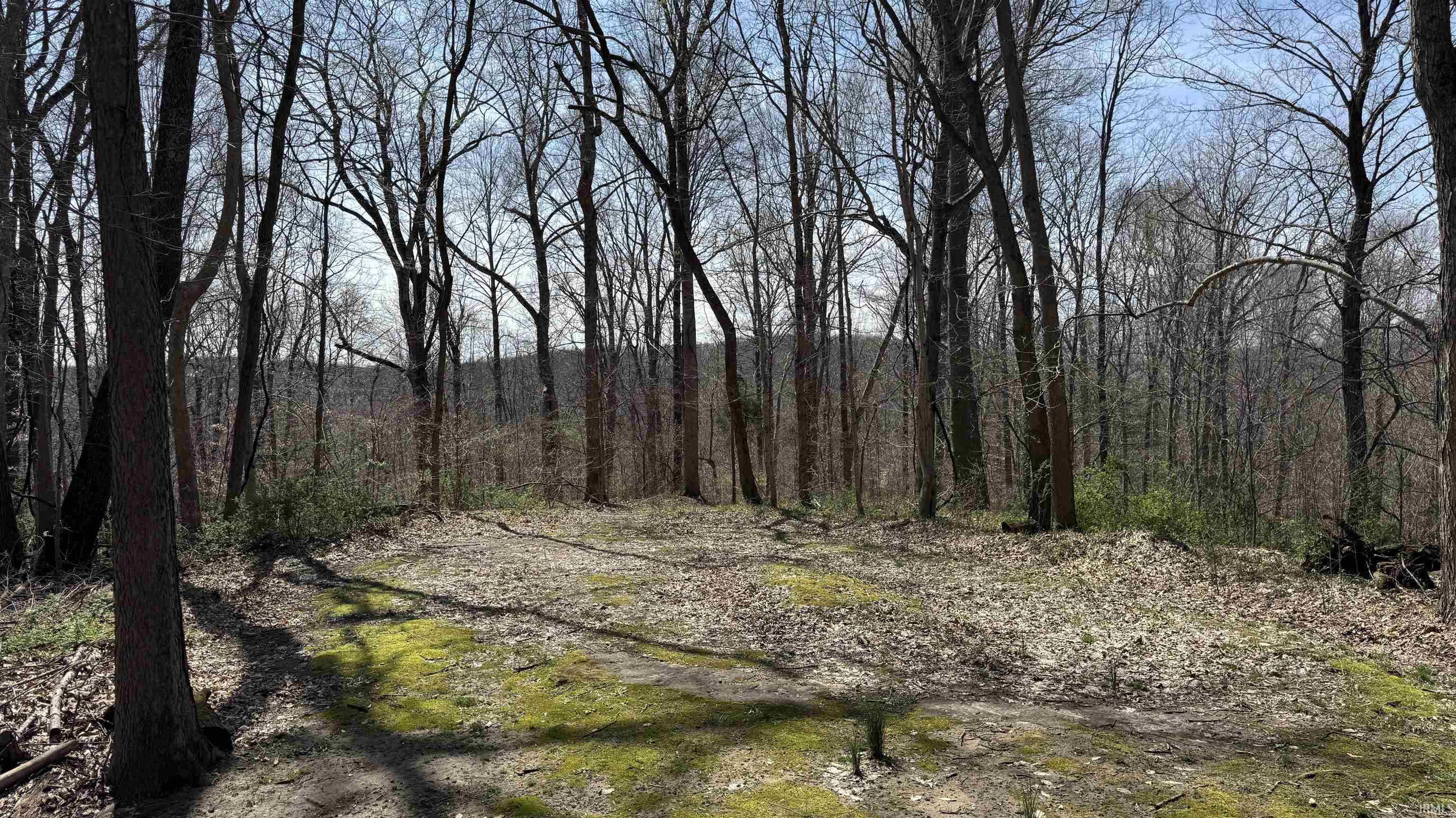 4653 West Co Road English, IN 47118 - Photo 11 of 21 Gallery Image 11