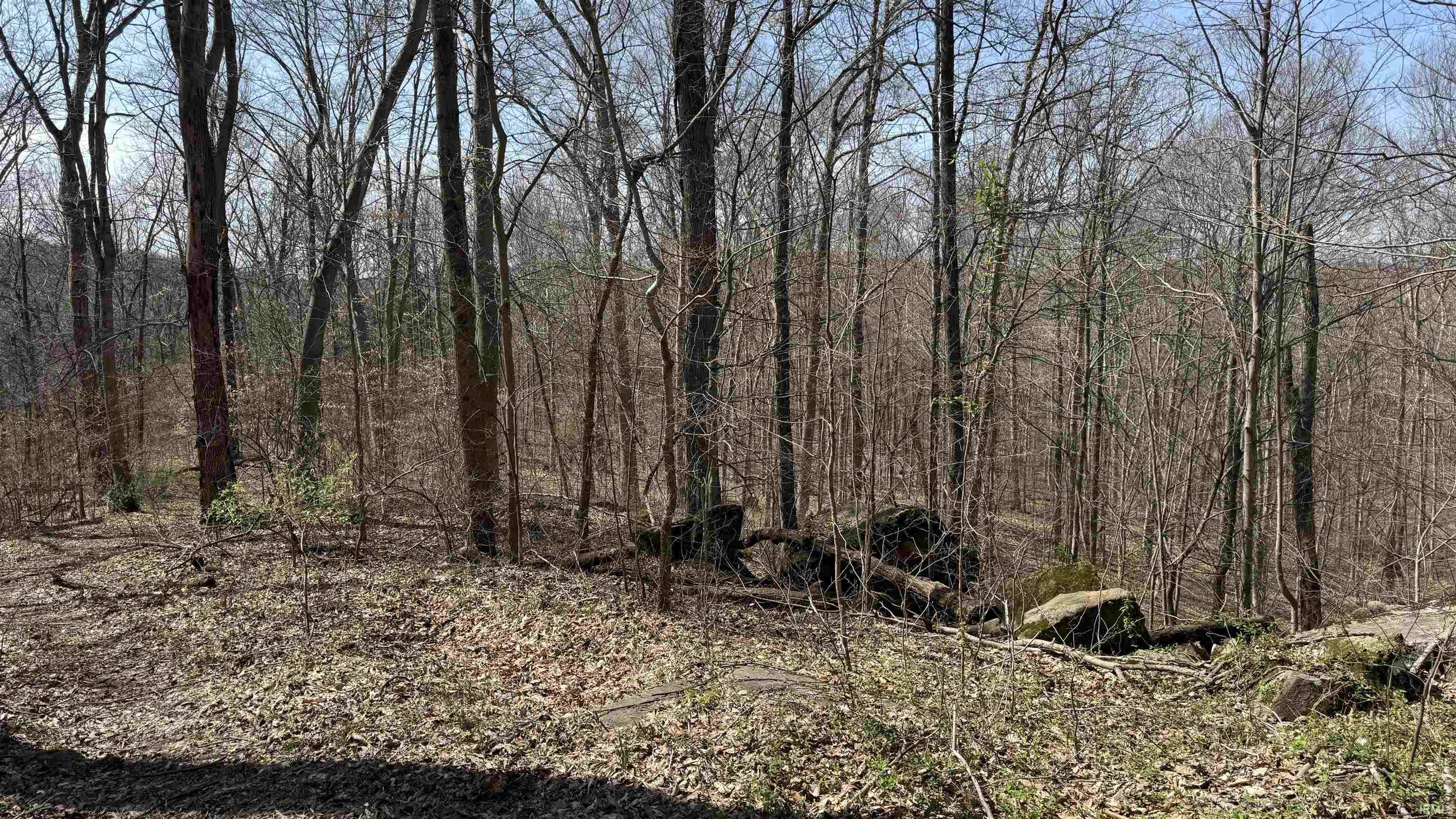 4653 West Co Road English, IN 47118 - Photo 12 of 21 Gallery Image 12