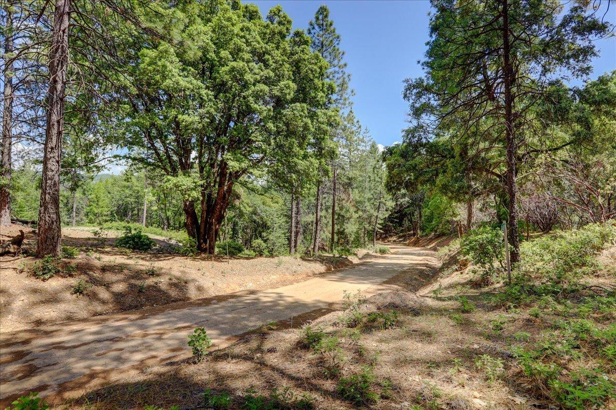 16890 Red Dog Road Nevada City, CA 95959 - Photo 1 of 1